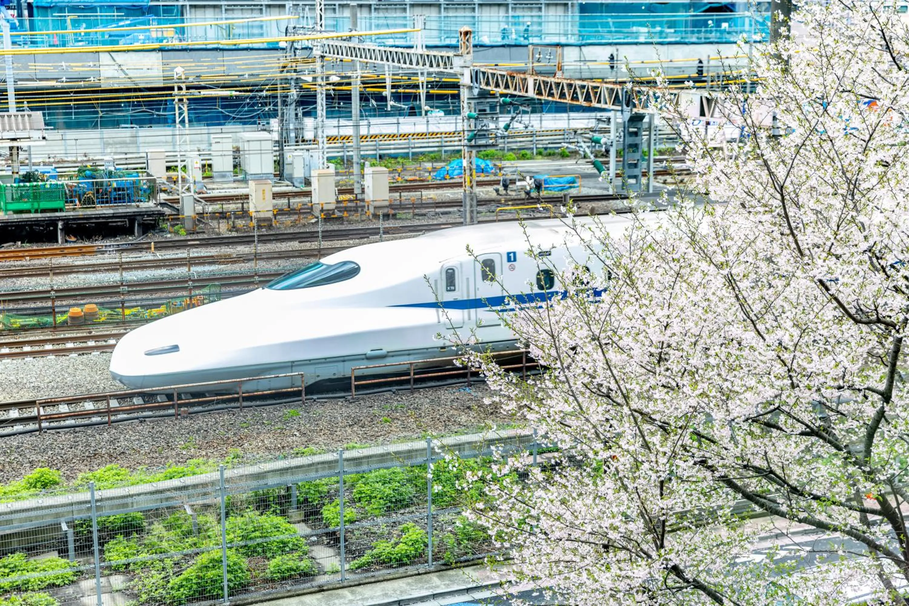 View (from property/room) in Pullman Tokyo Tamachi