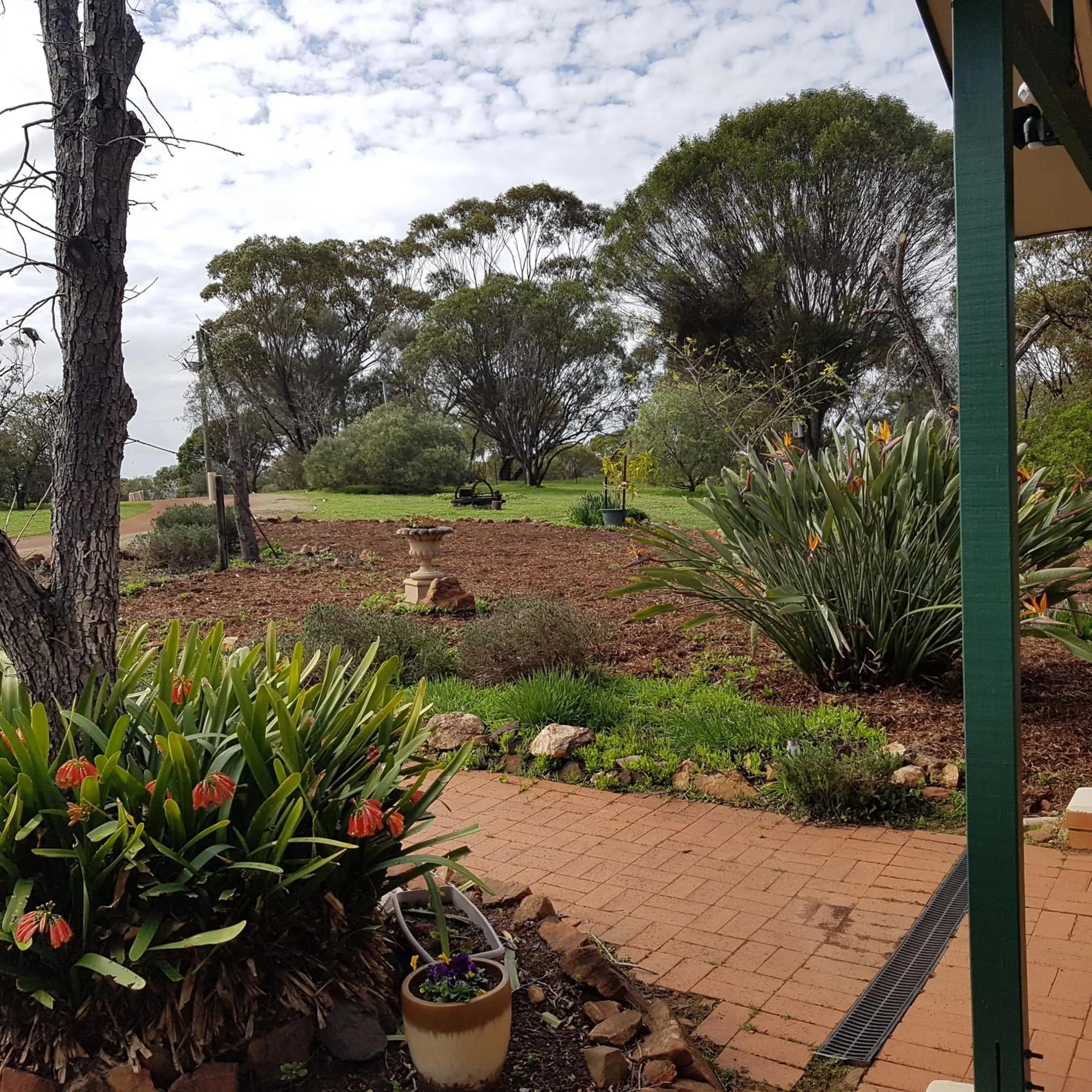 Garden in Pecan Hill BNB