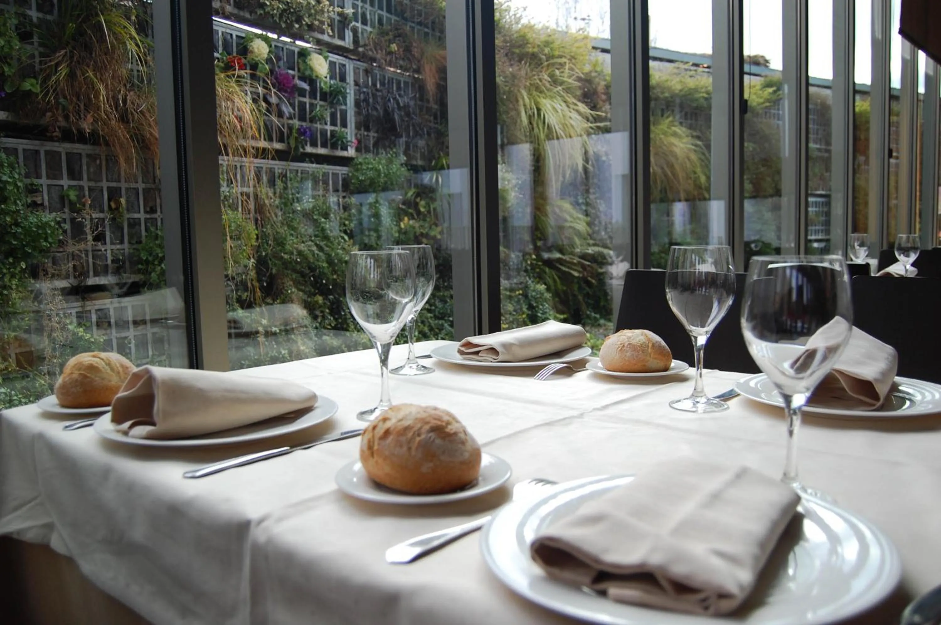 Food and drinks in Hotel Araba