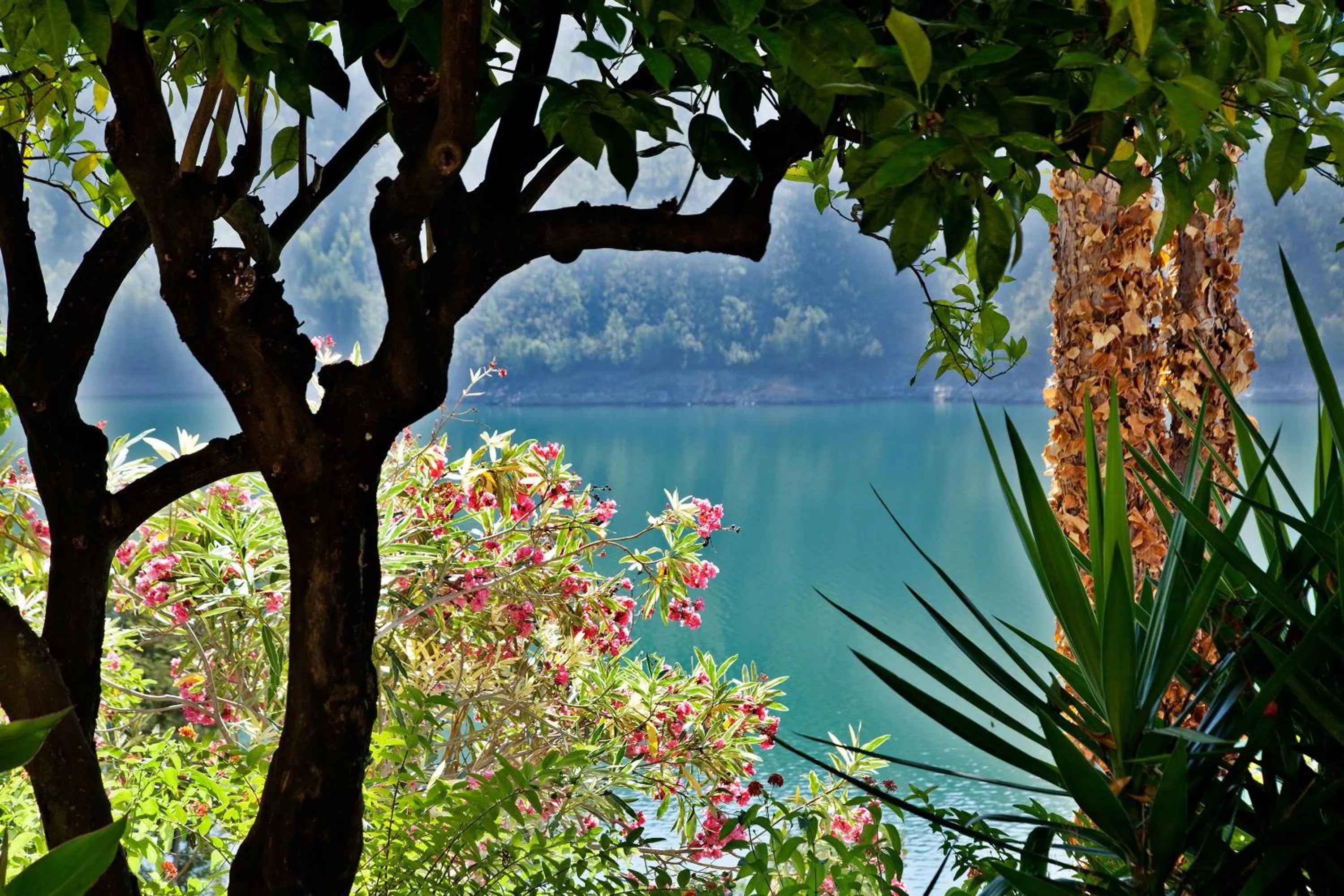 Garden view in Lago Azul Eco Hotel