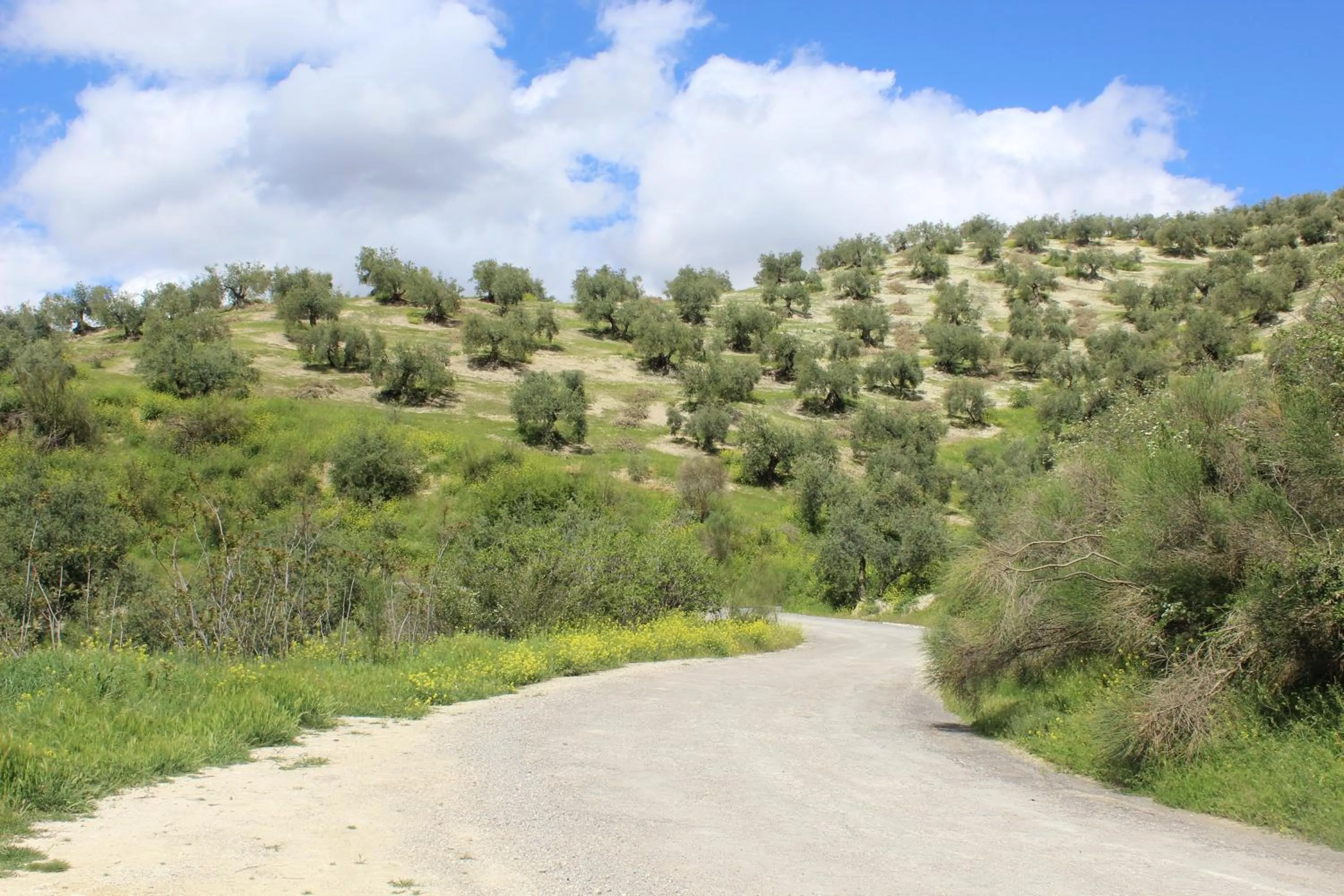 Natural landscape in Casa La Nuez