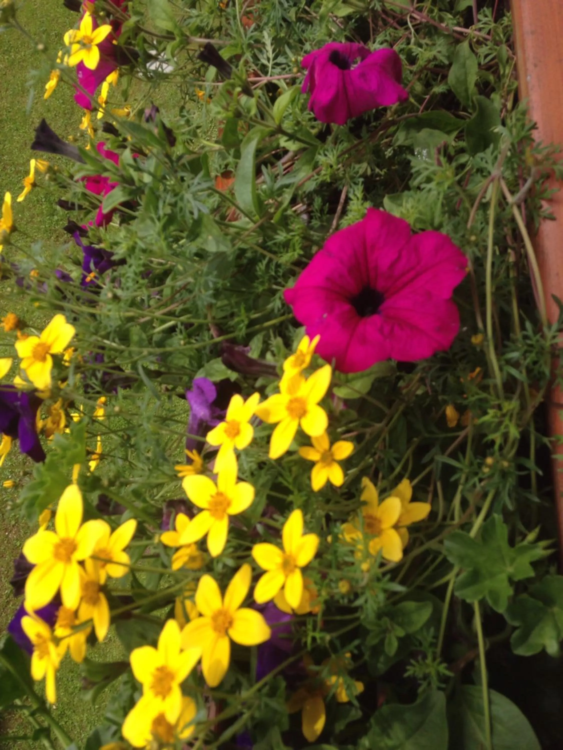 Spring in Hotel Scoiattolo