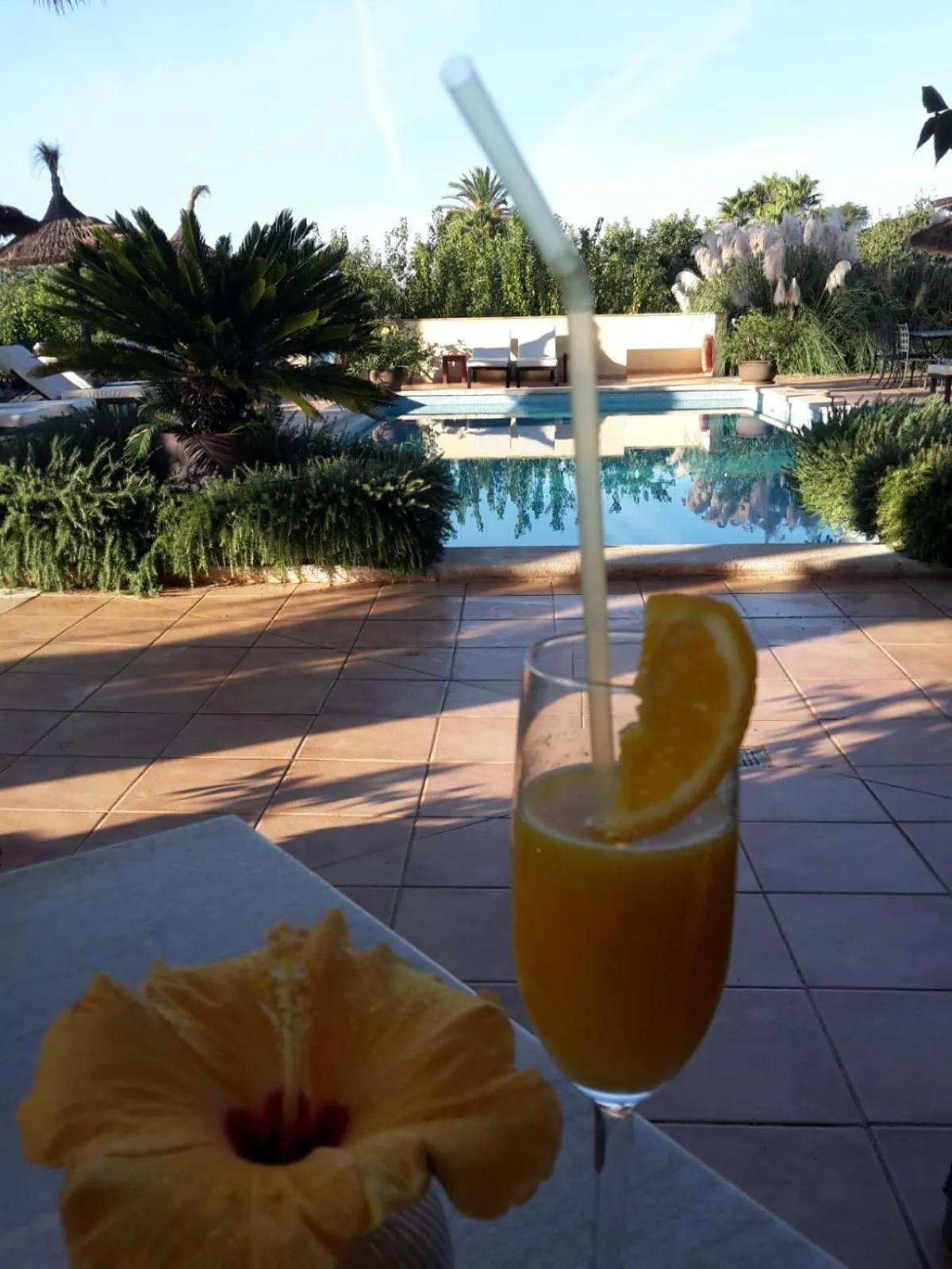 Breakfast, Swimming Pool in Villa Sampoli - Agroturismo Son Sampoli - Adults only