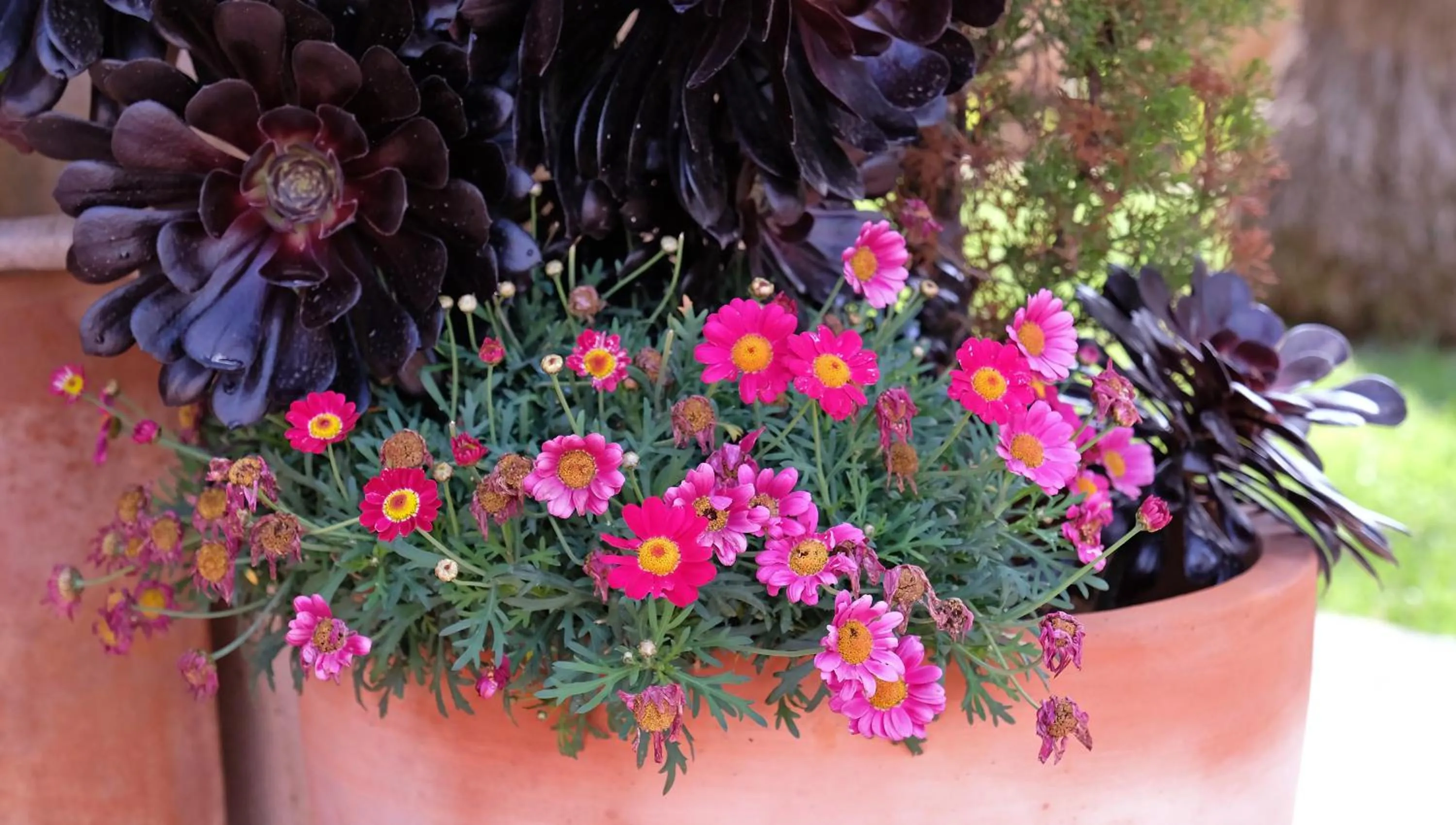 On site in Villa Sampoli - Agroturismo Son Sampoli - Adults only