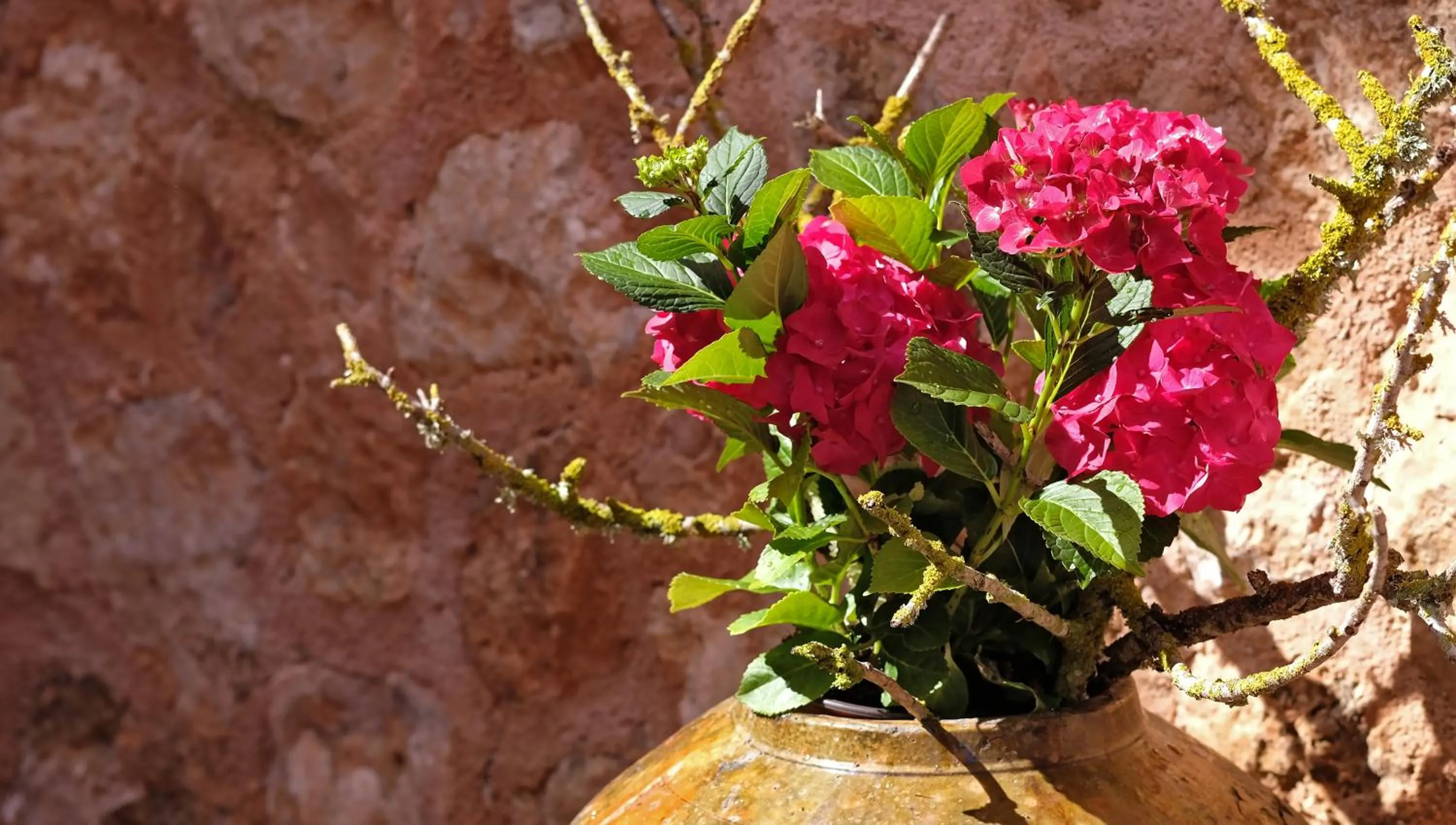 On site in Villa Sampoli - Agroturismo Son Sampoli - Adults only