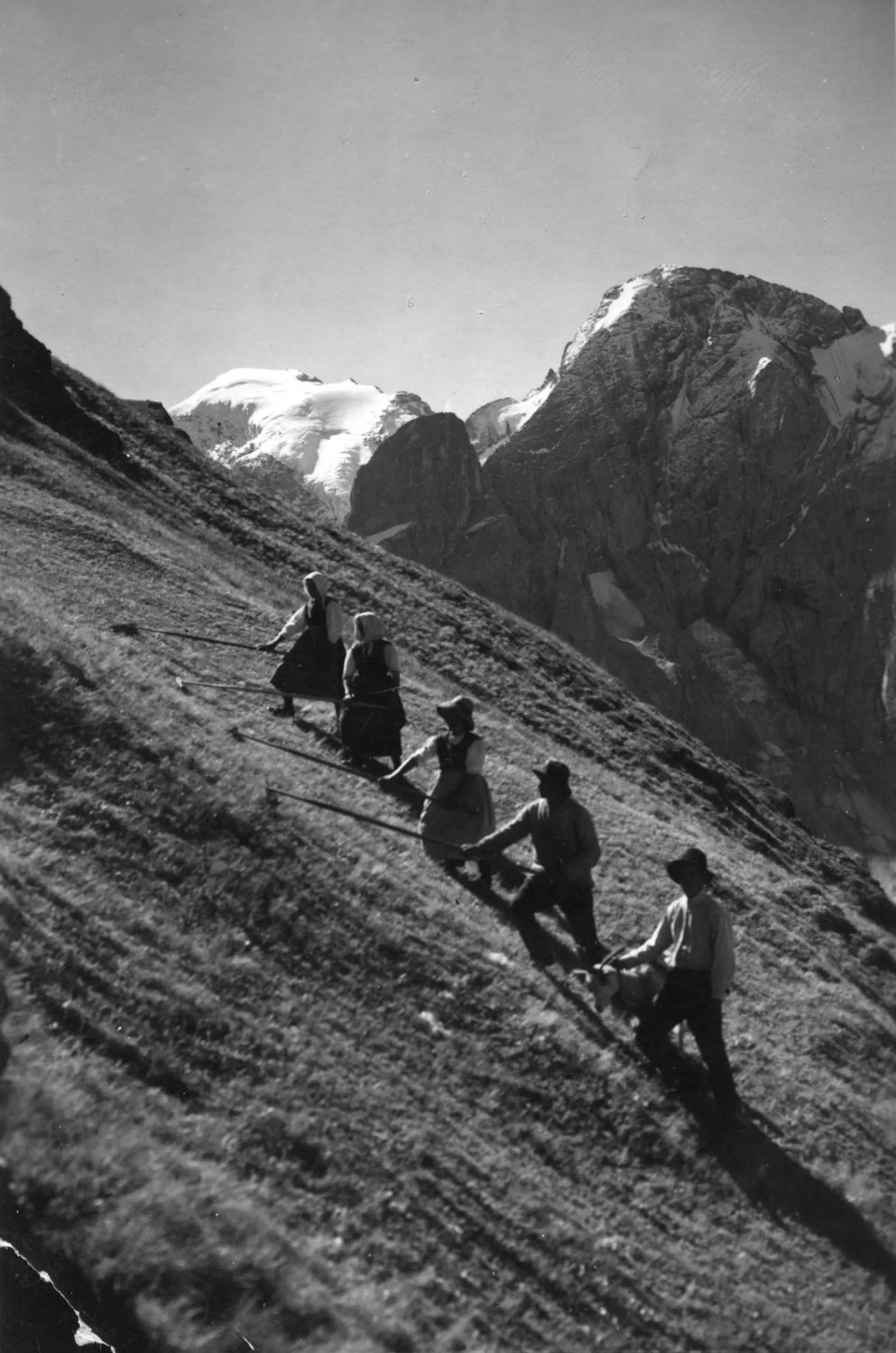 Decorative detail in Hotel Al Cervo