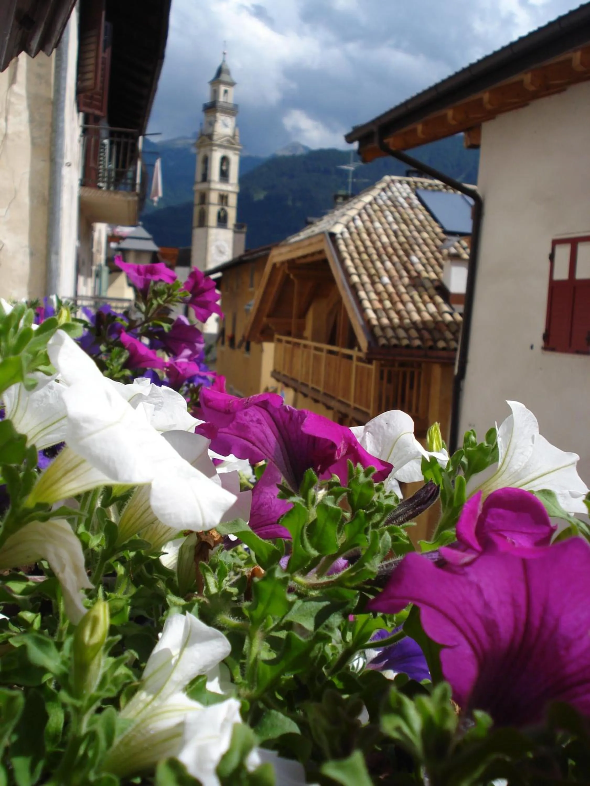 Property building in Hotel Al Cervo