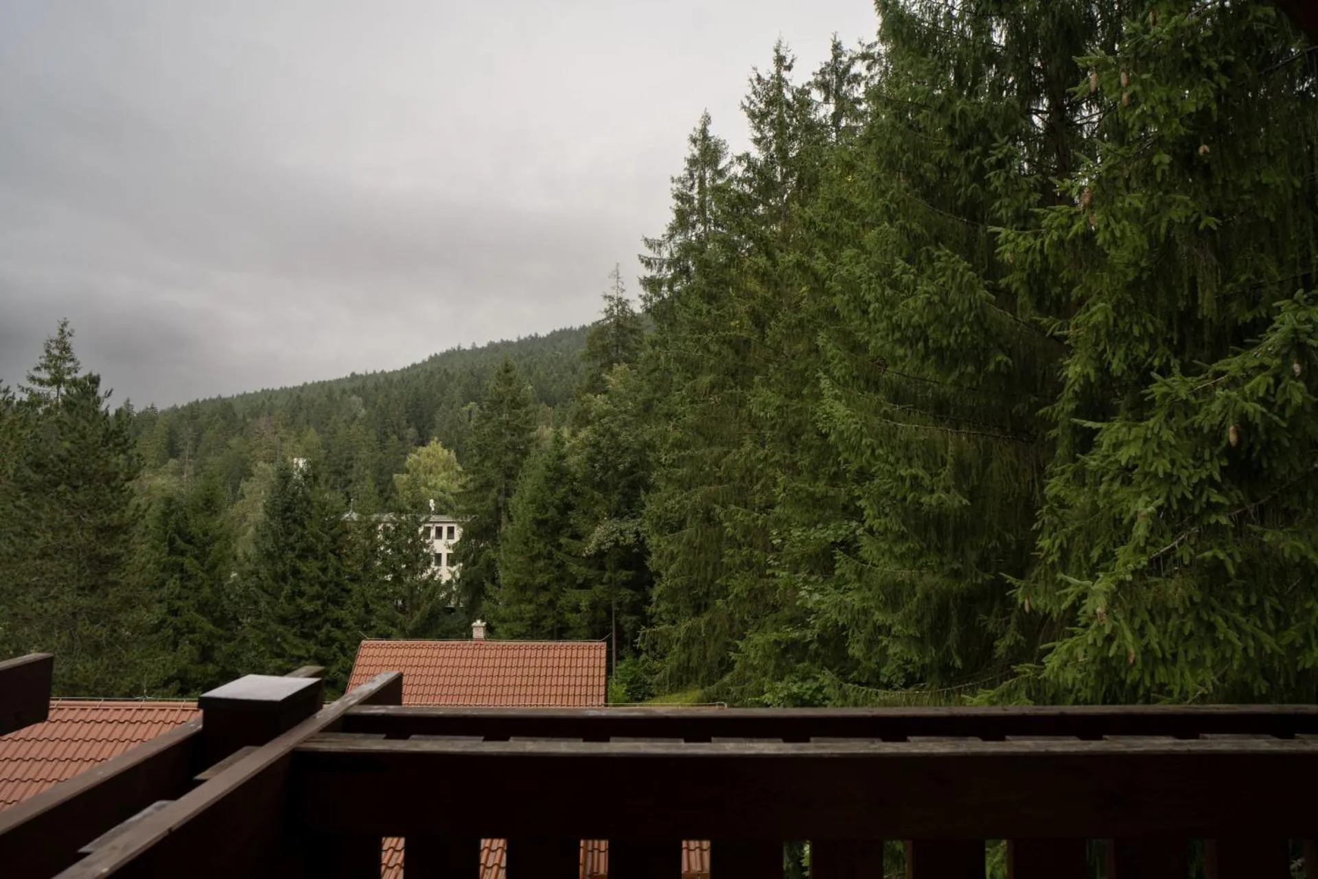 View (from property/room) in Apartmánový dom Fatrapark 1 s Wellness - Hlavná recepcia