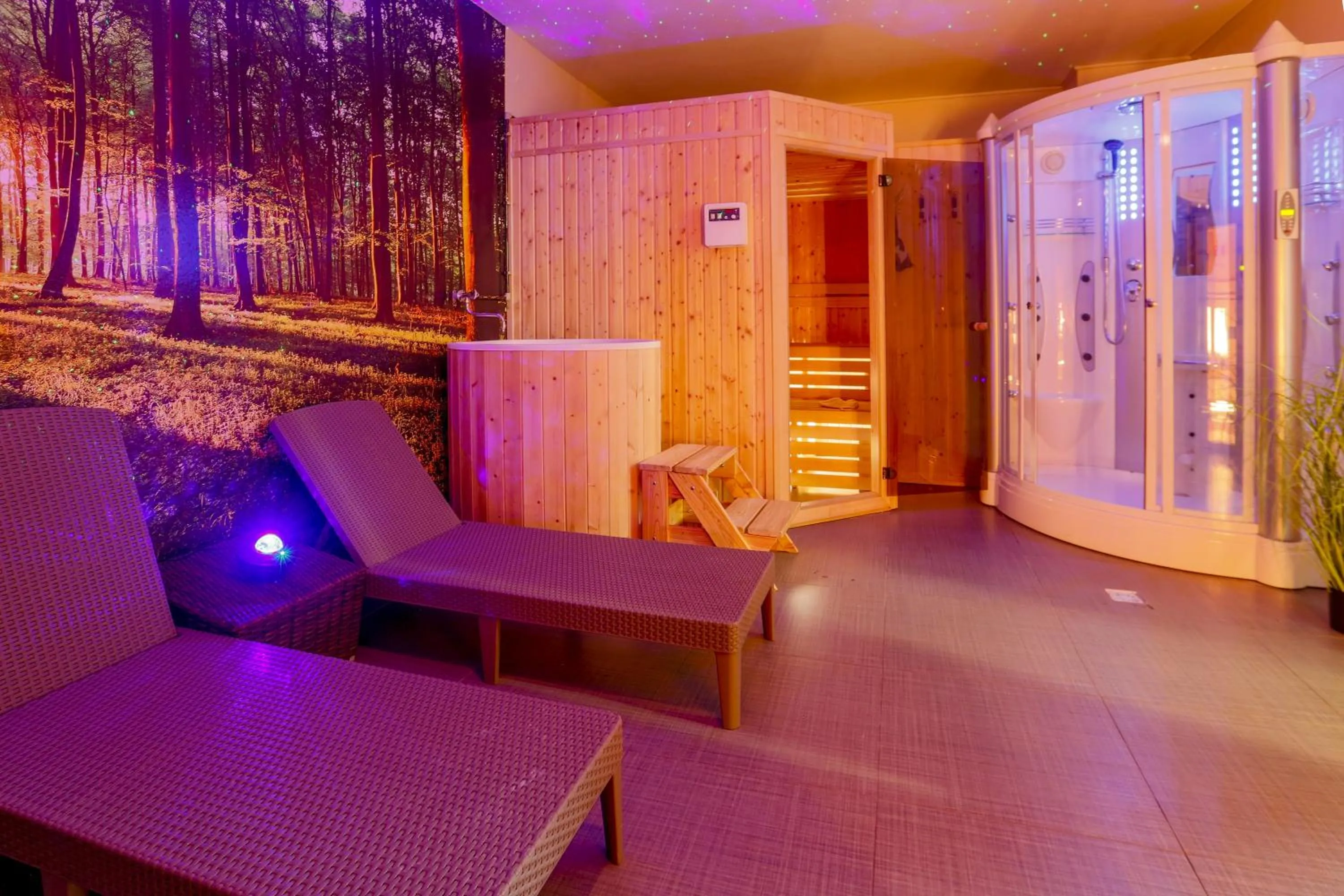 Spa and wellness centre/facilities in Apartmánový dom Fatrapark 1 s Wellness - Hlavná recepcia