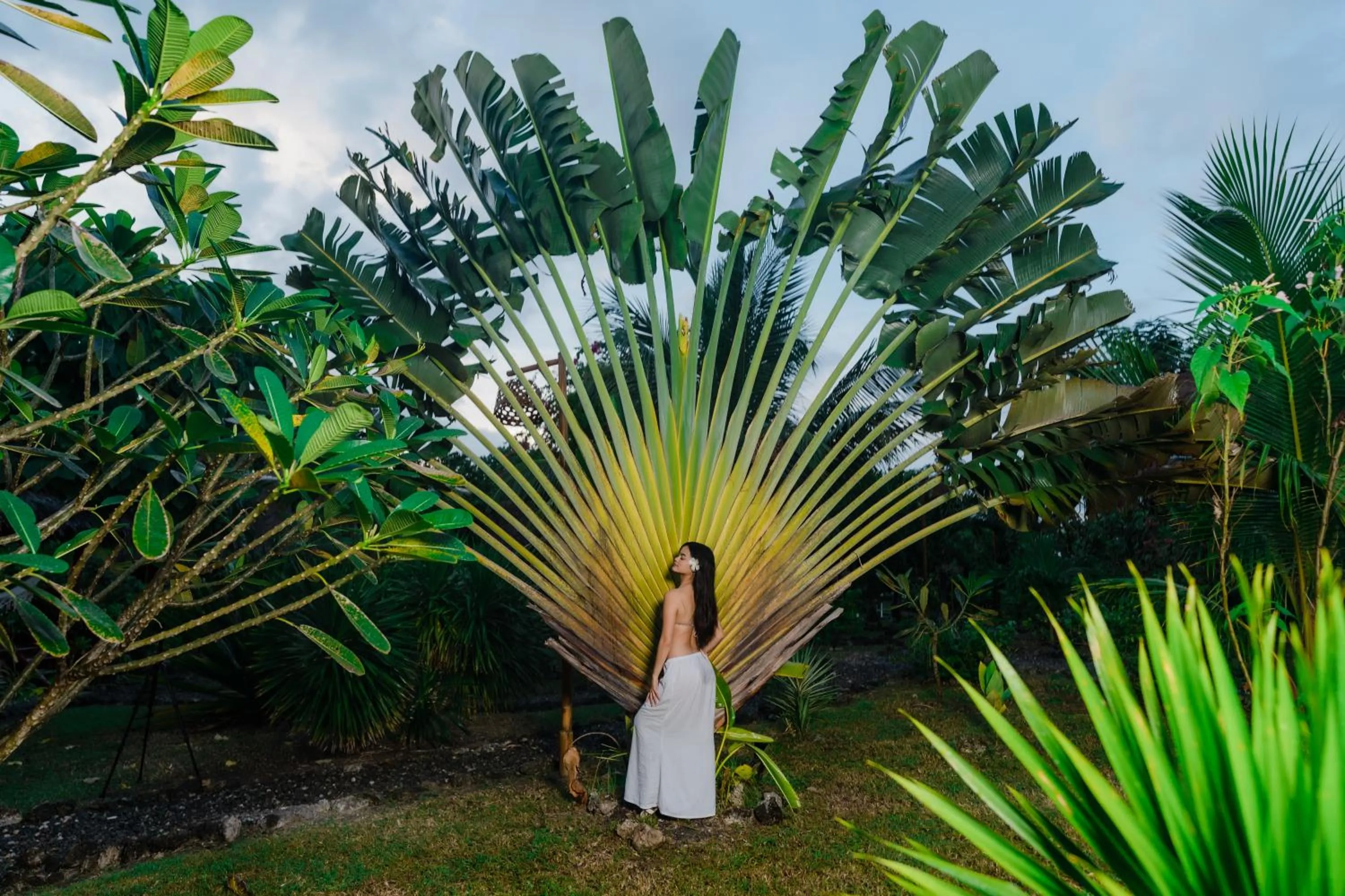 Garden in Tongo Hill Cottages