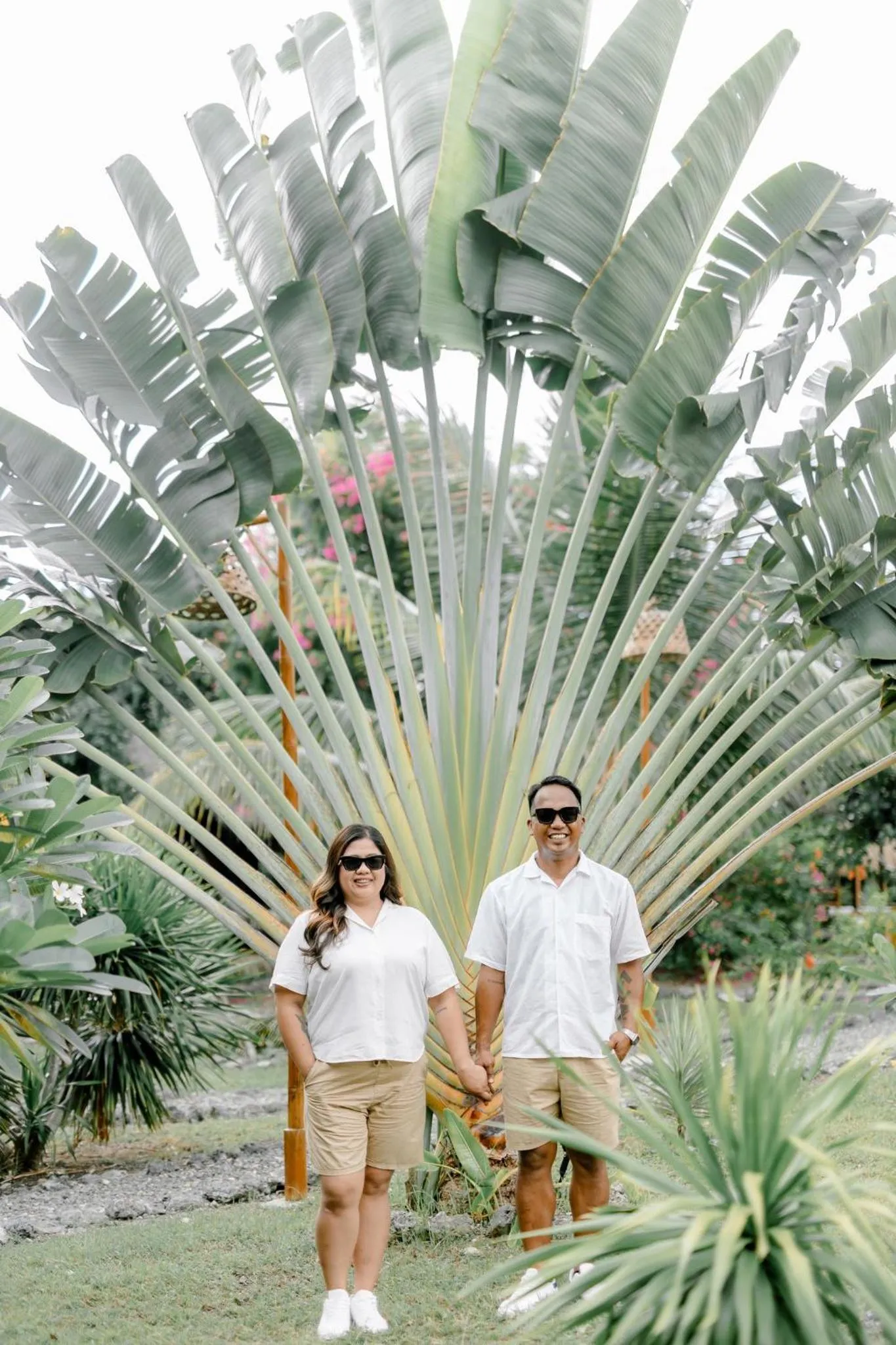 Garden in Tongo Hill Cottages
