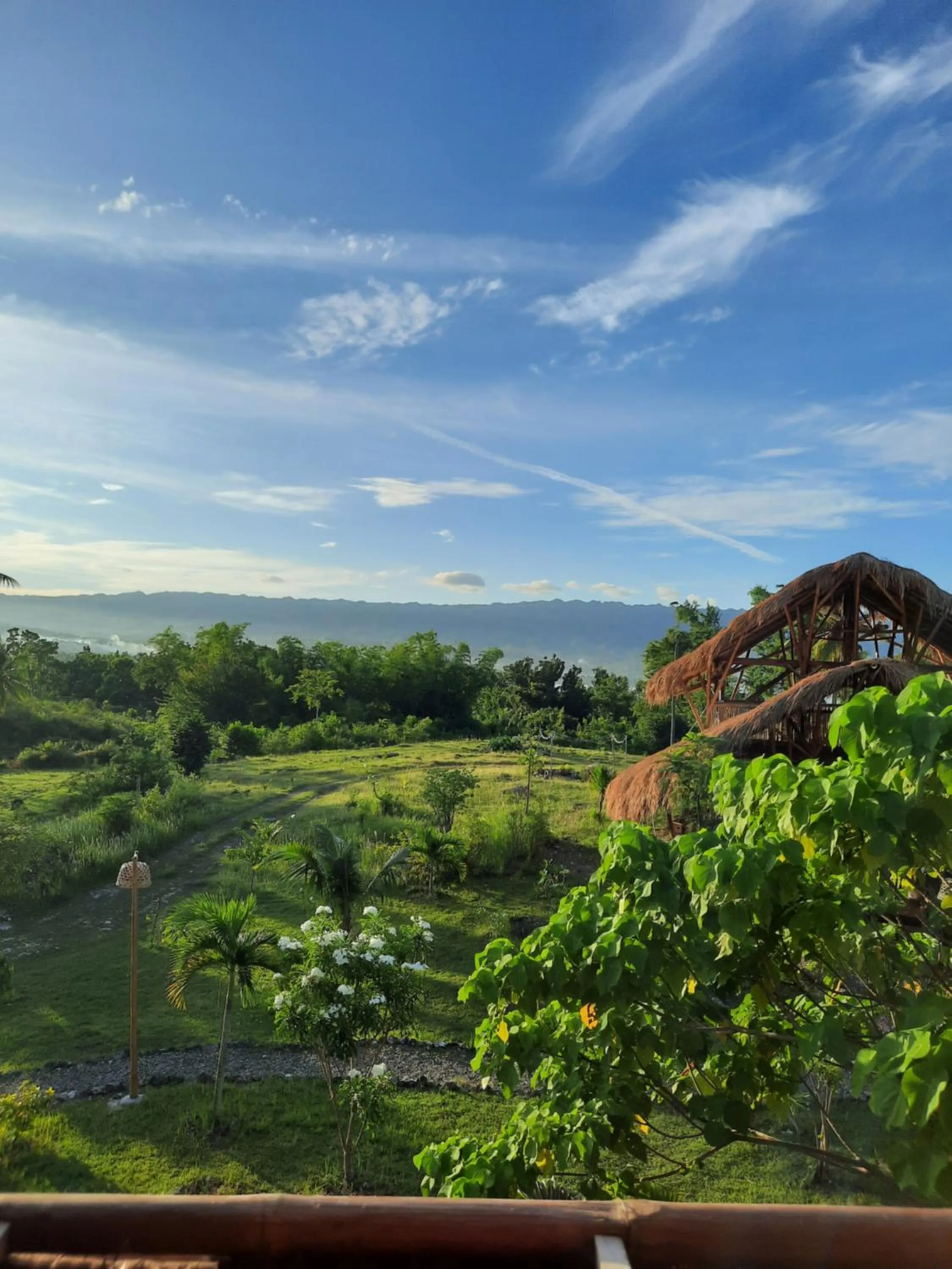 Garden in Tongo Hill Cottages