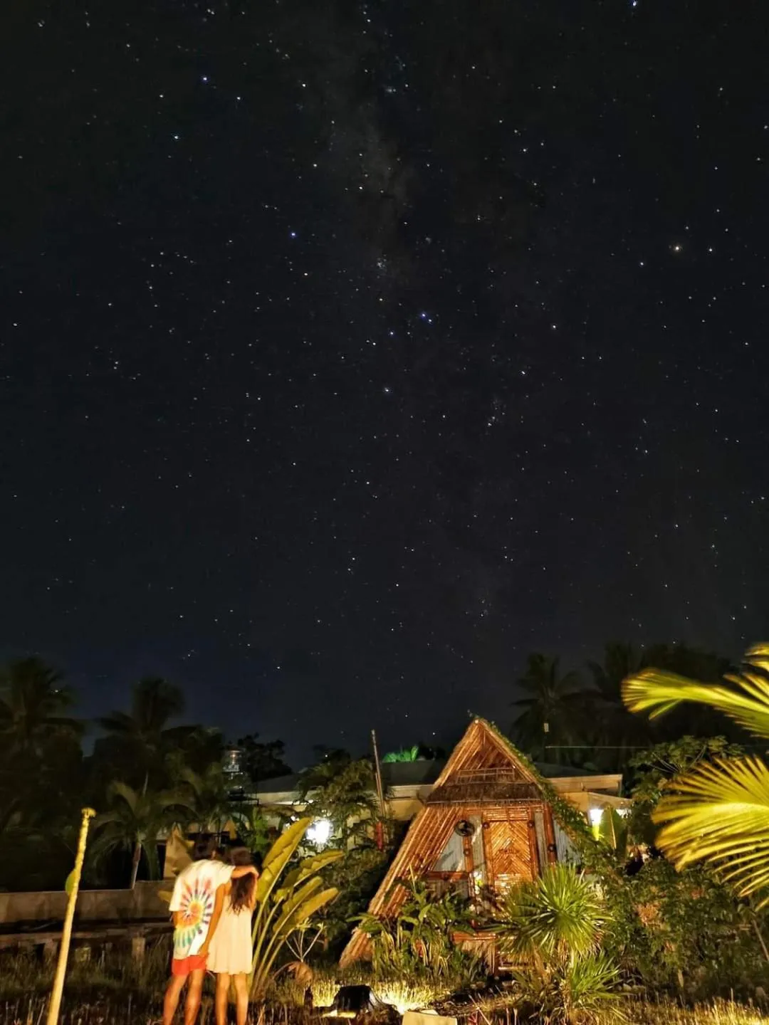 Garden in Tongo Hill Cottages