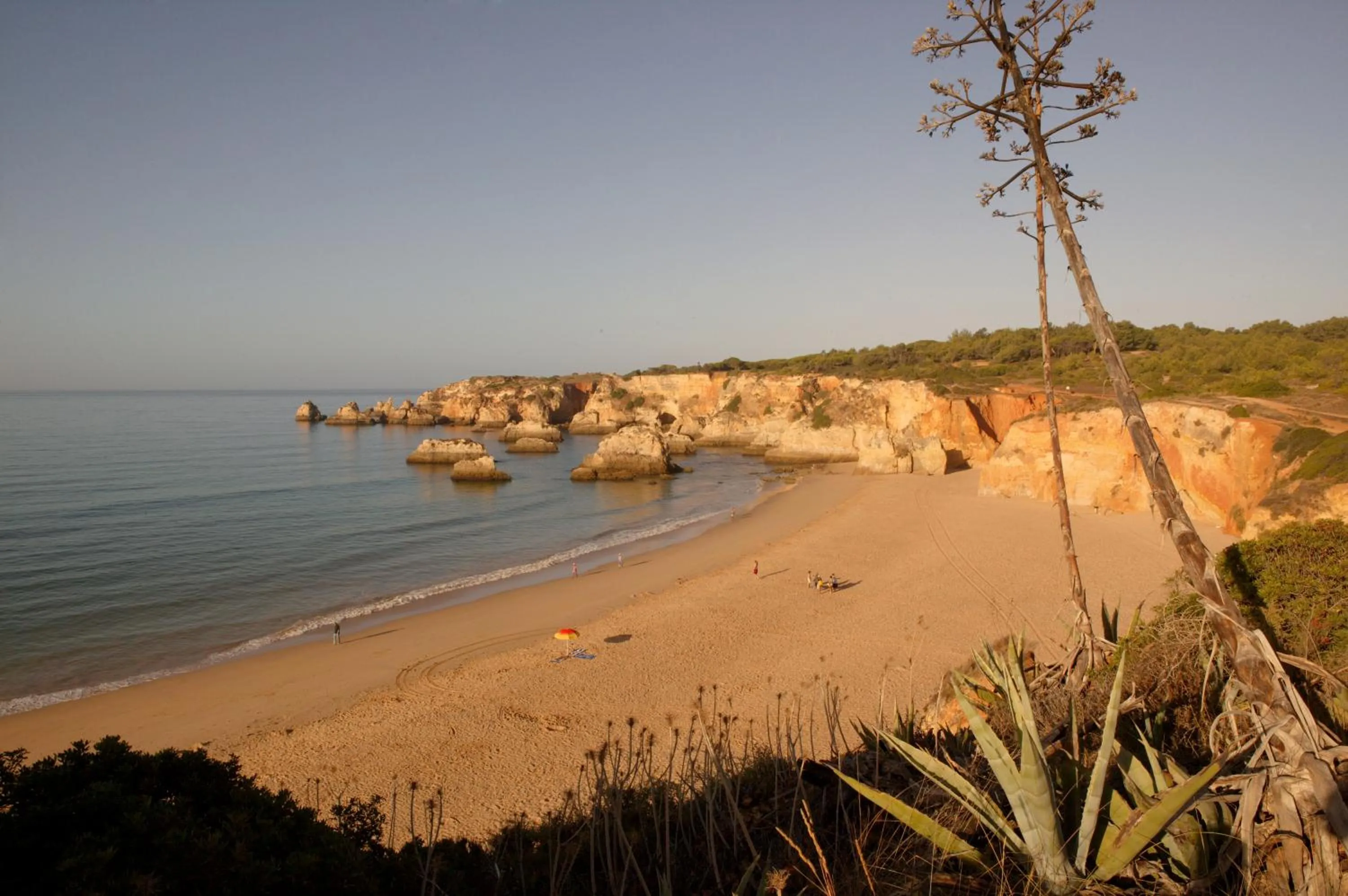Natural landscape in Interpass Vau Hotel Apartamentos