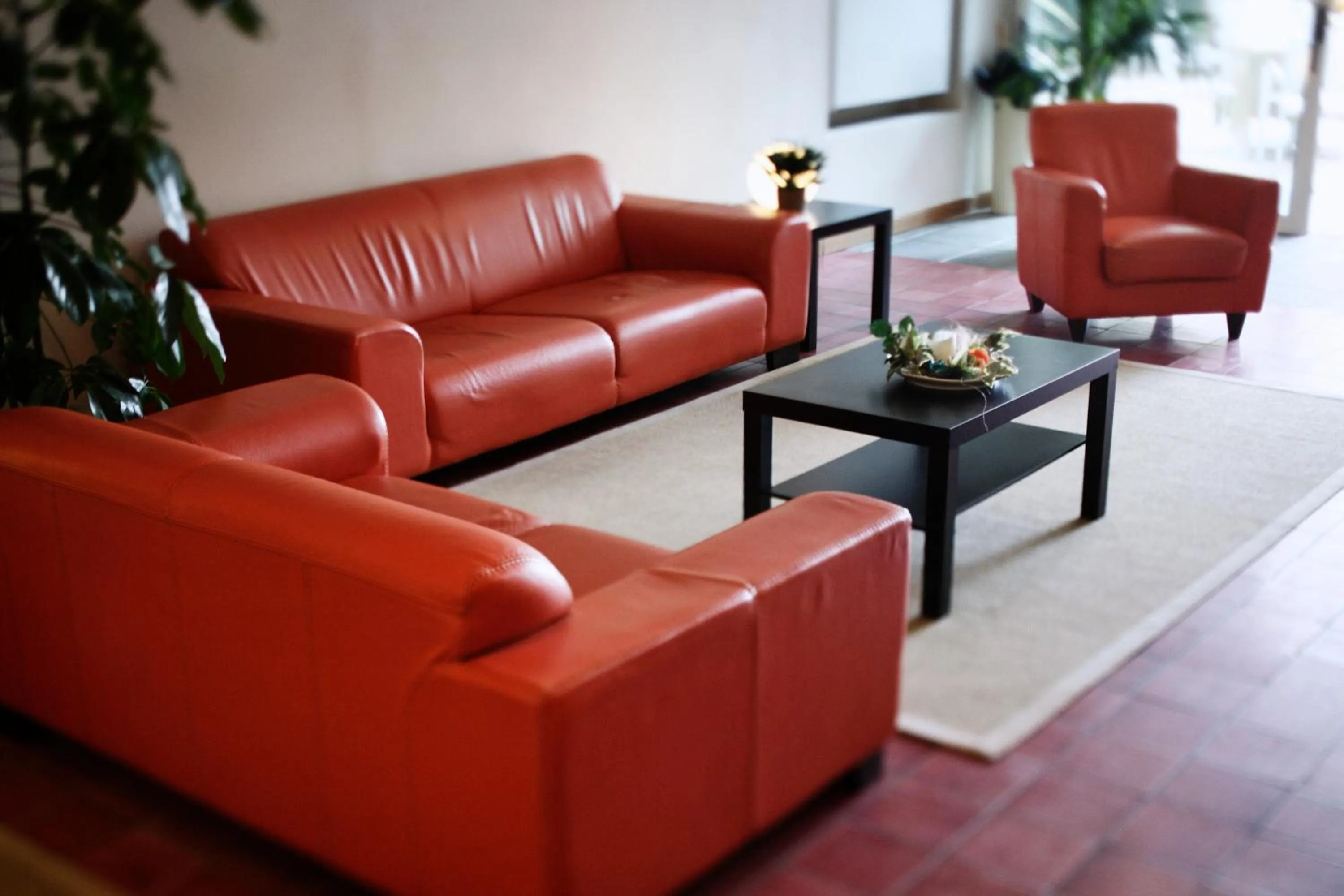 Seating area in Hotel Airone