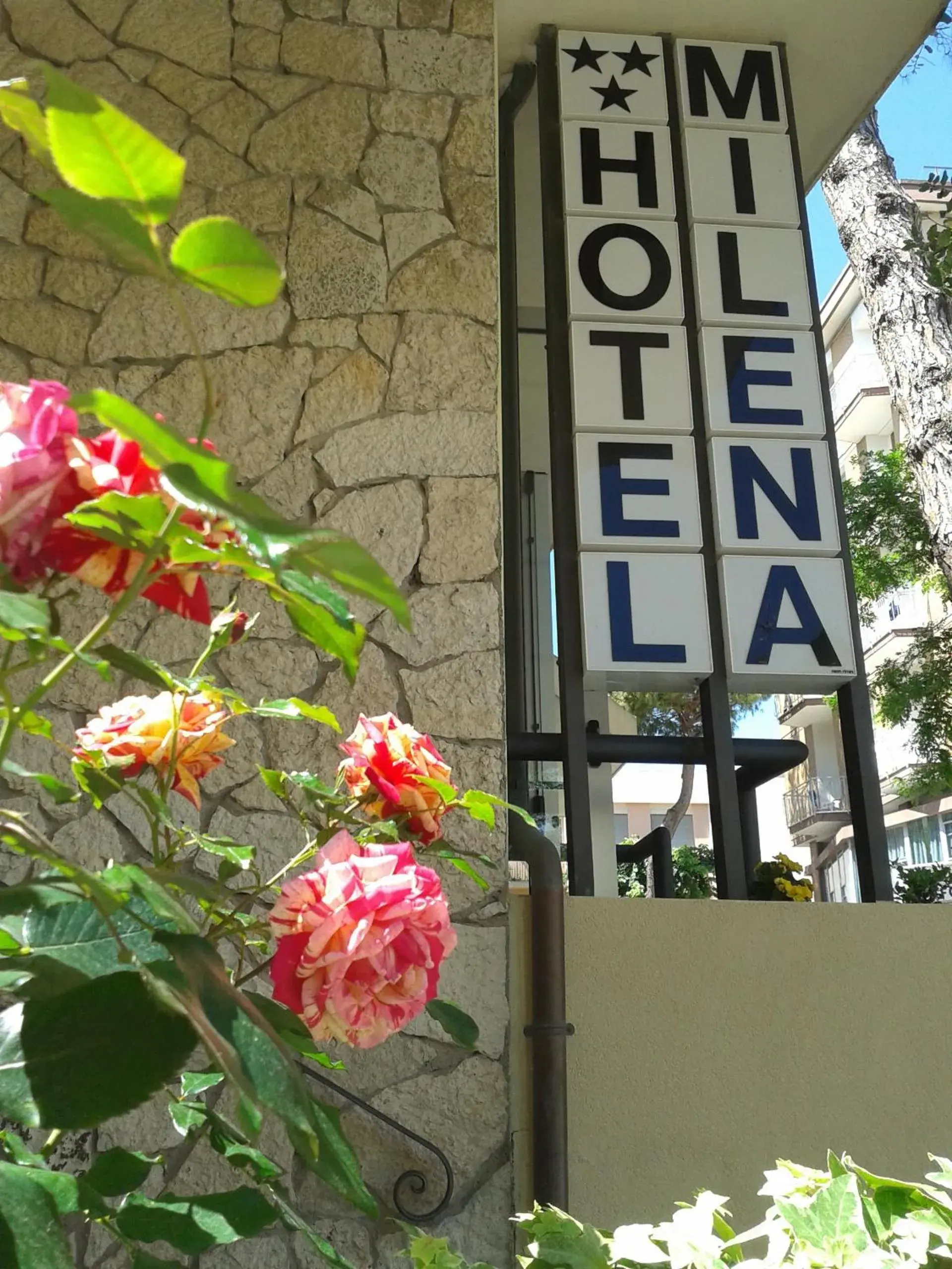 Facade/entrance in Hotel Milena