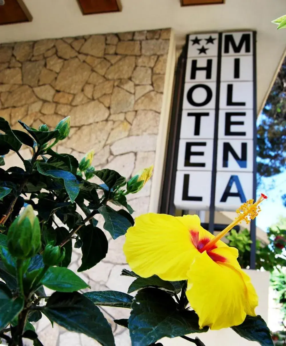 Hotel Milena