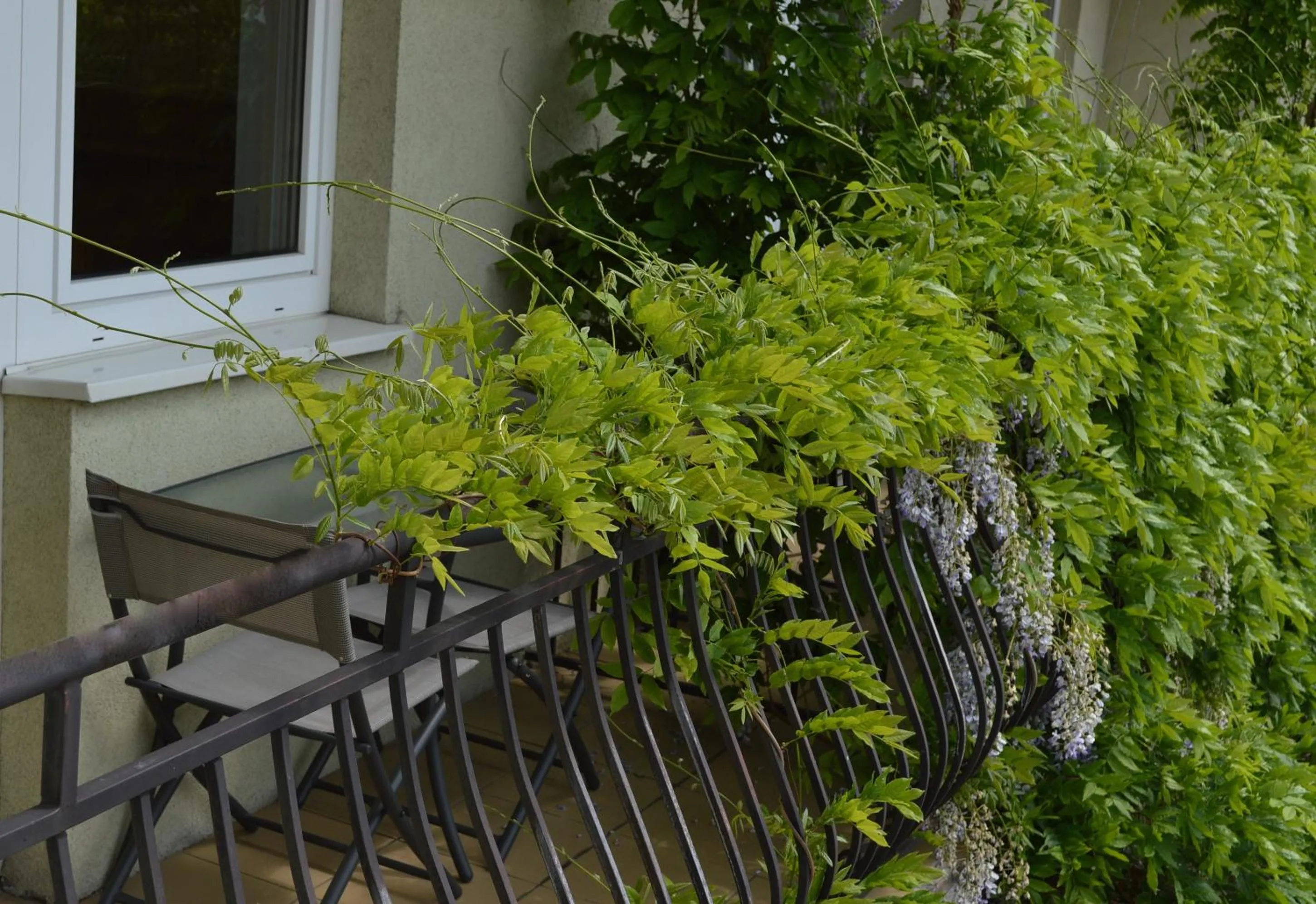 Balcony/Terrace in Willa Luna