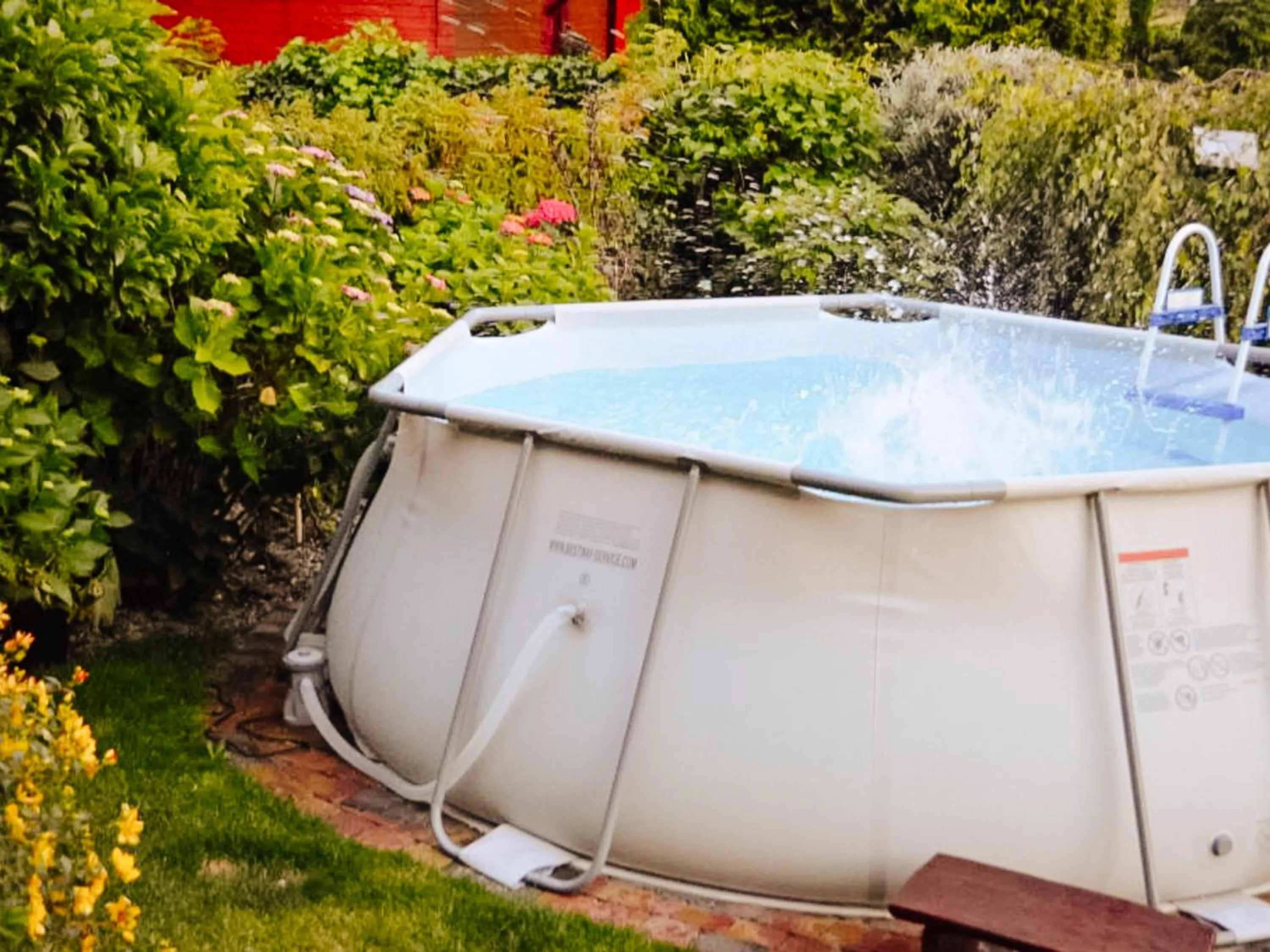 Garden in Willa Luna