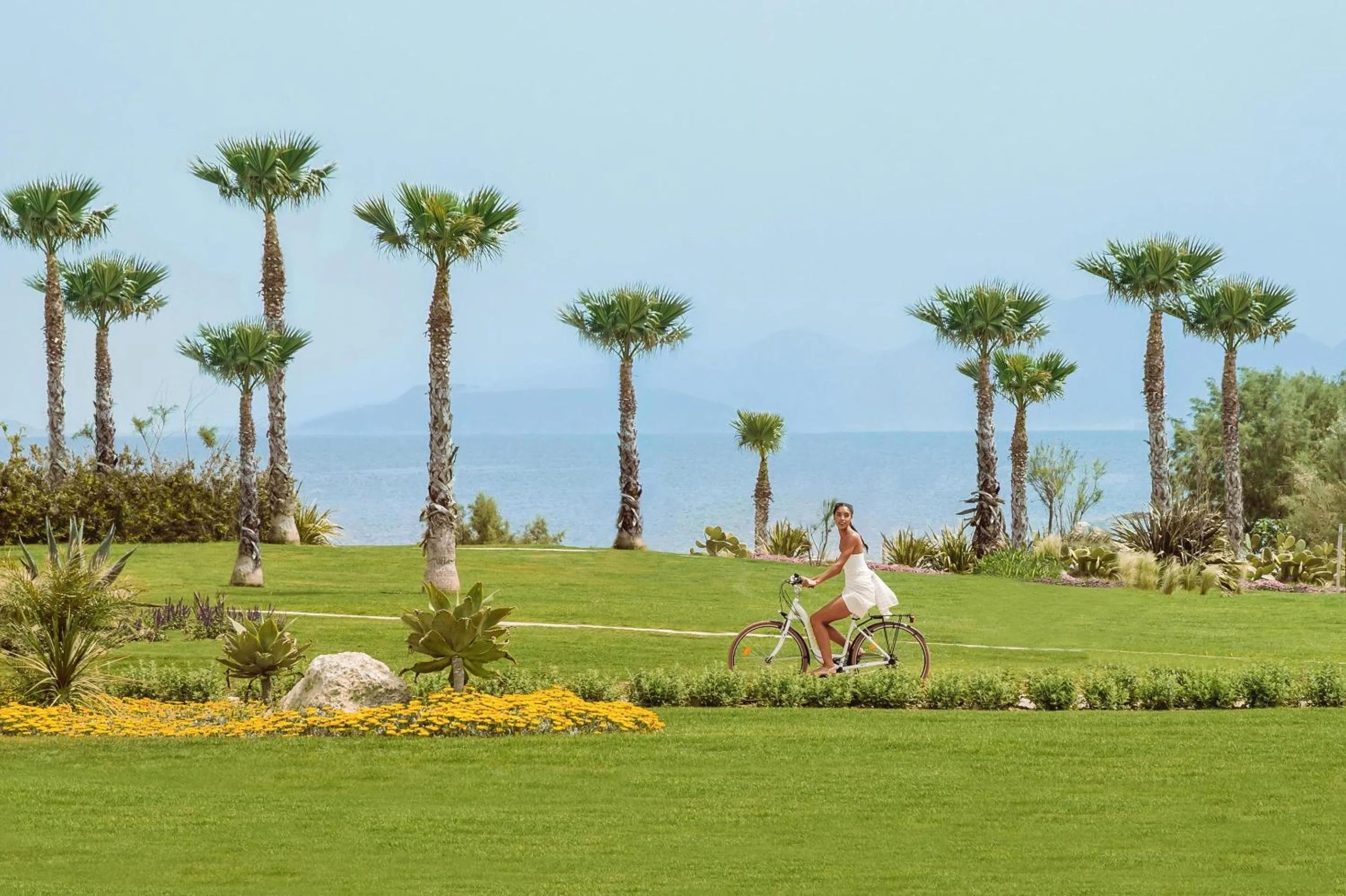 Activities in Ikos Aria