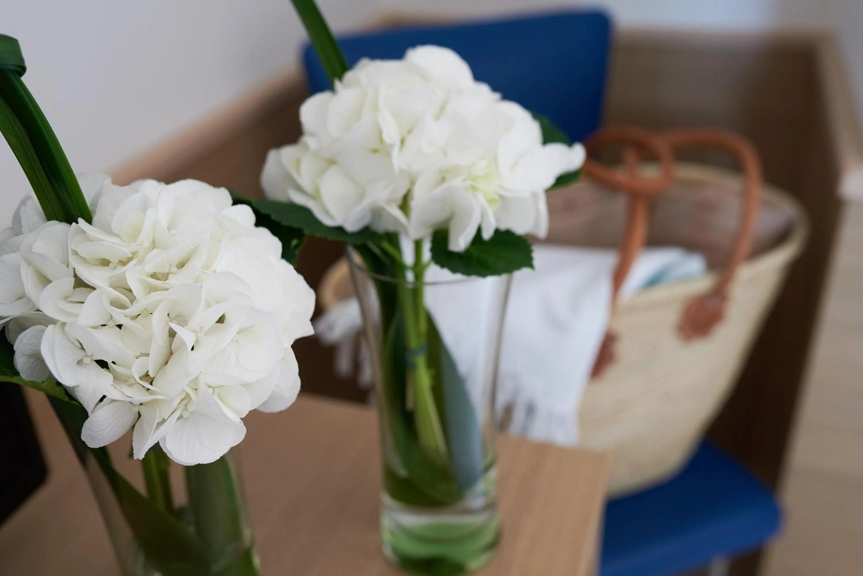 Day in Jesolopalace Hotel & Aparthotel