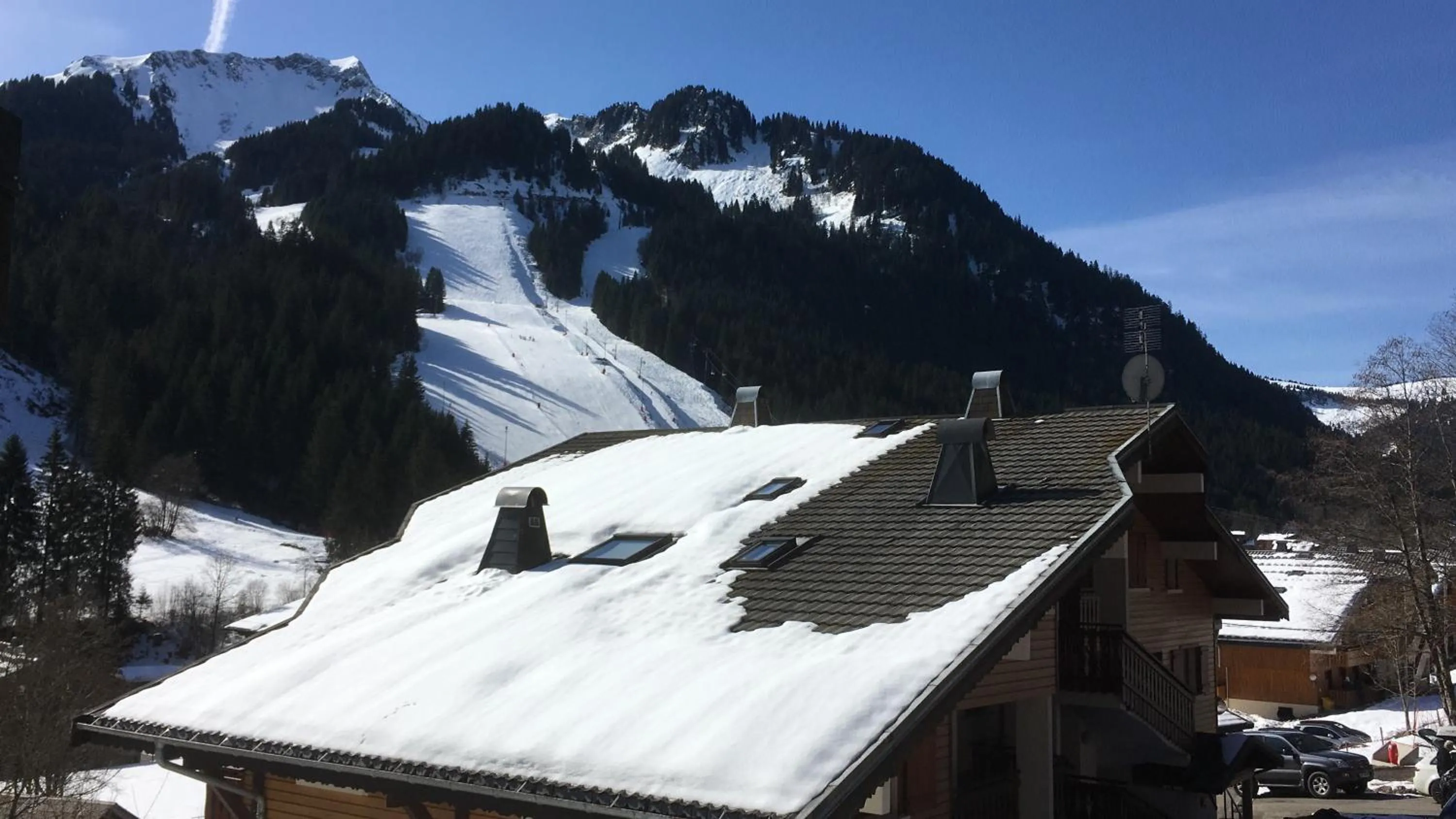 Appartement Azalee