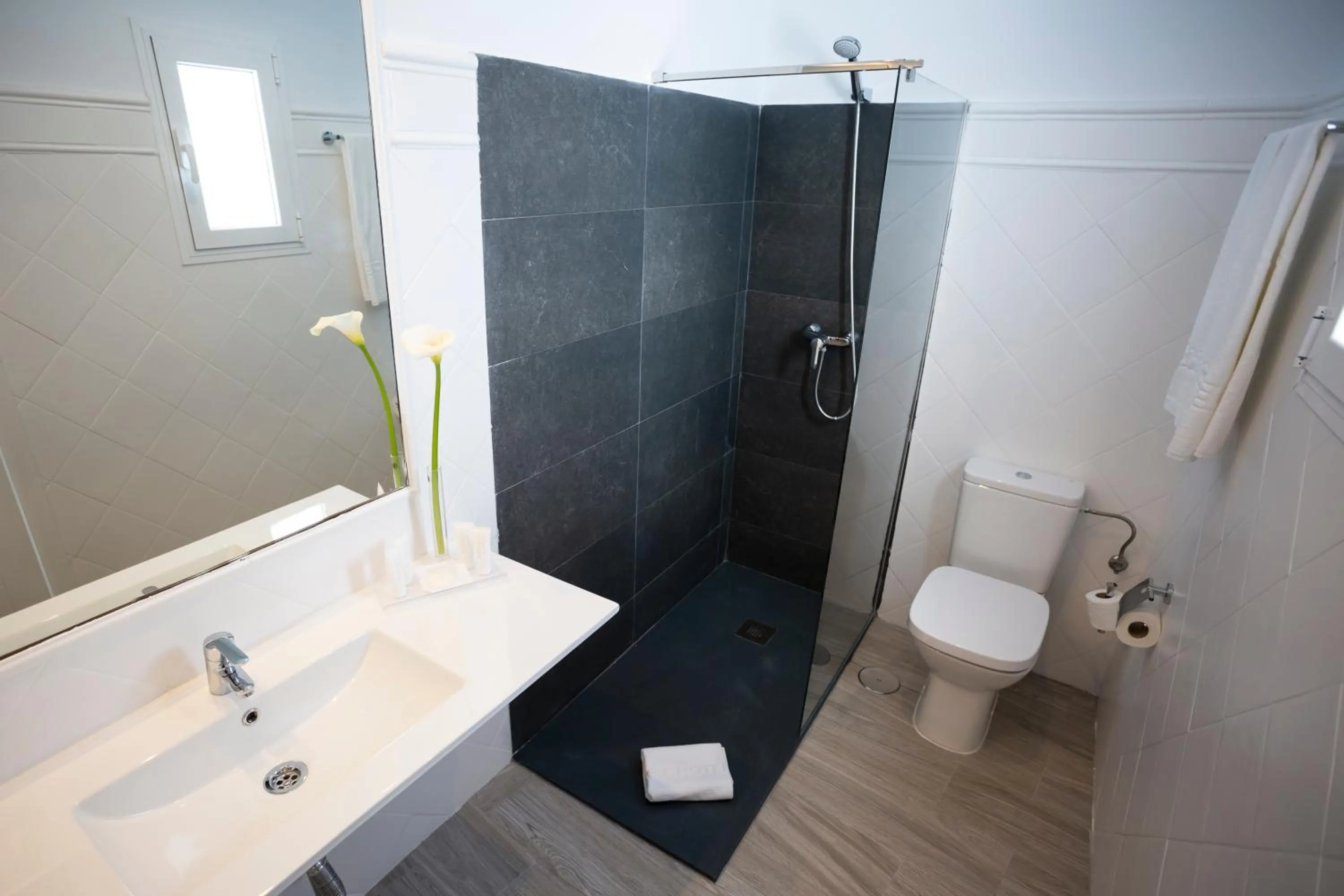 Bathroom in Basic Hotel Sevilla Catedral