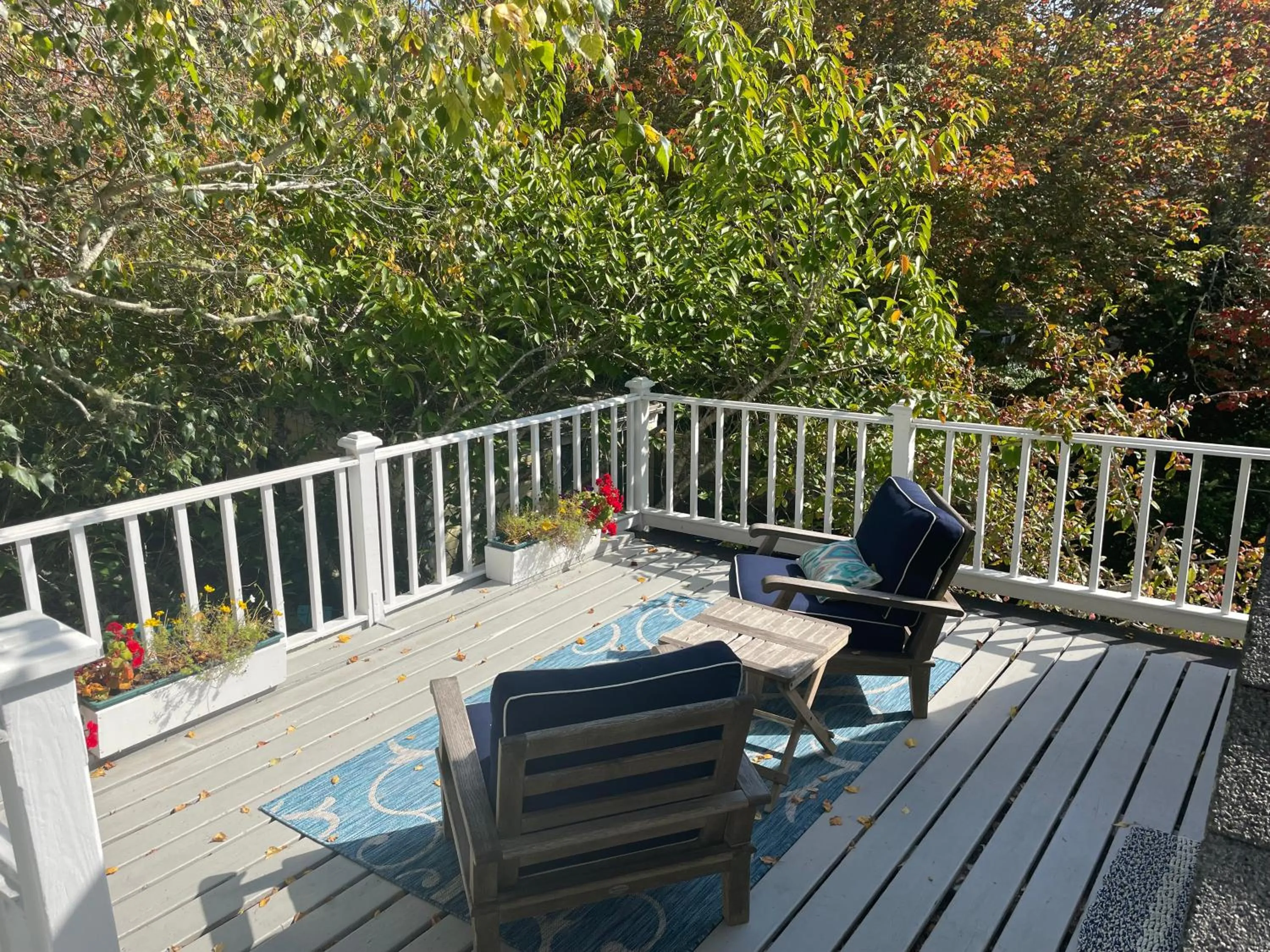 Patio in Inn at Cook Street