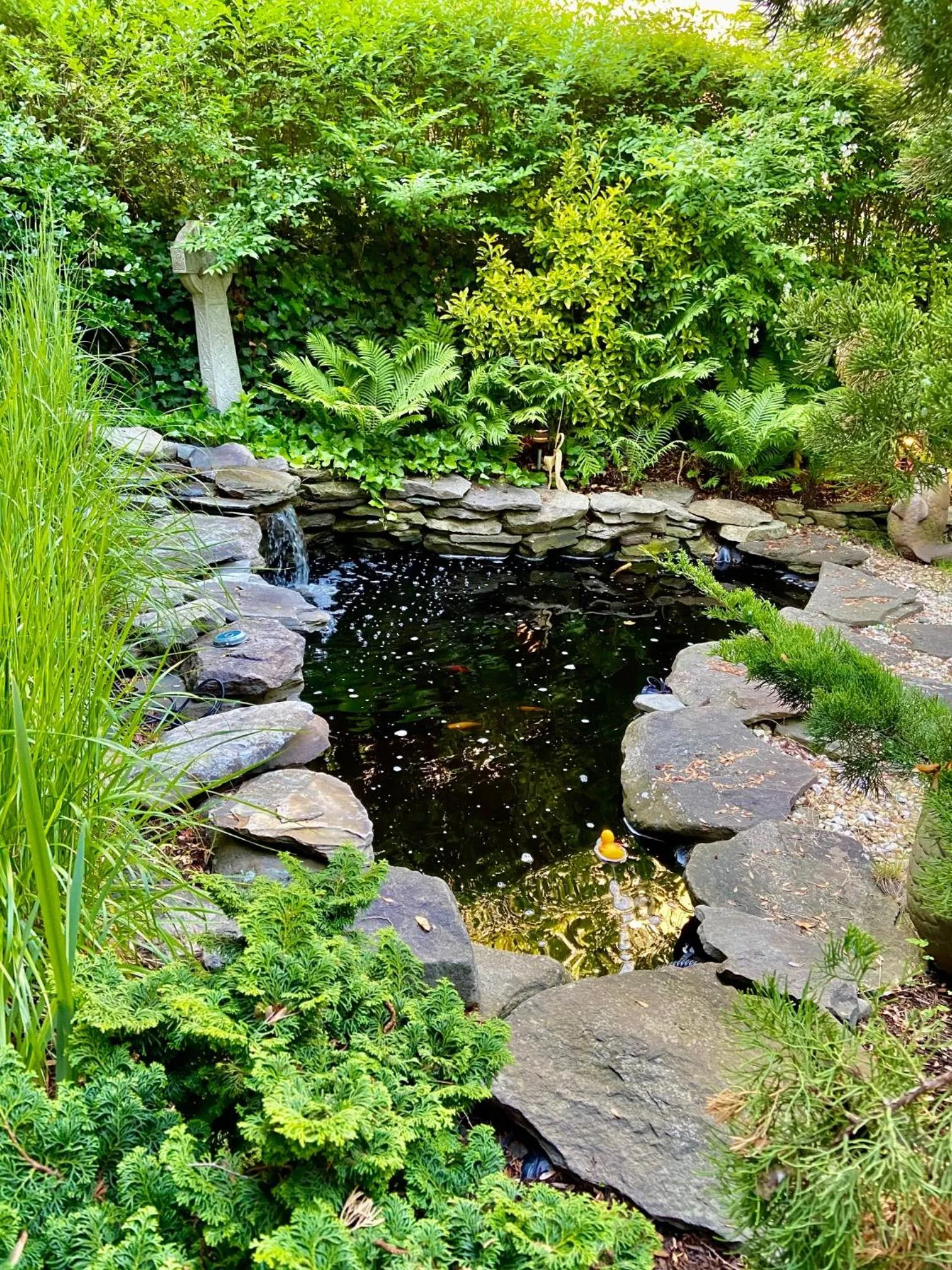 Garden in Inn at Cook Street