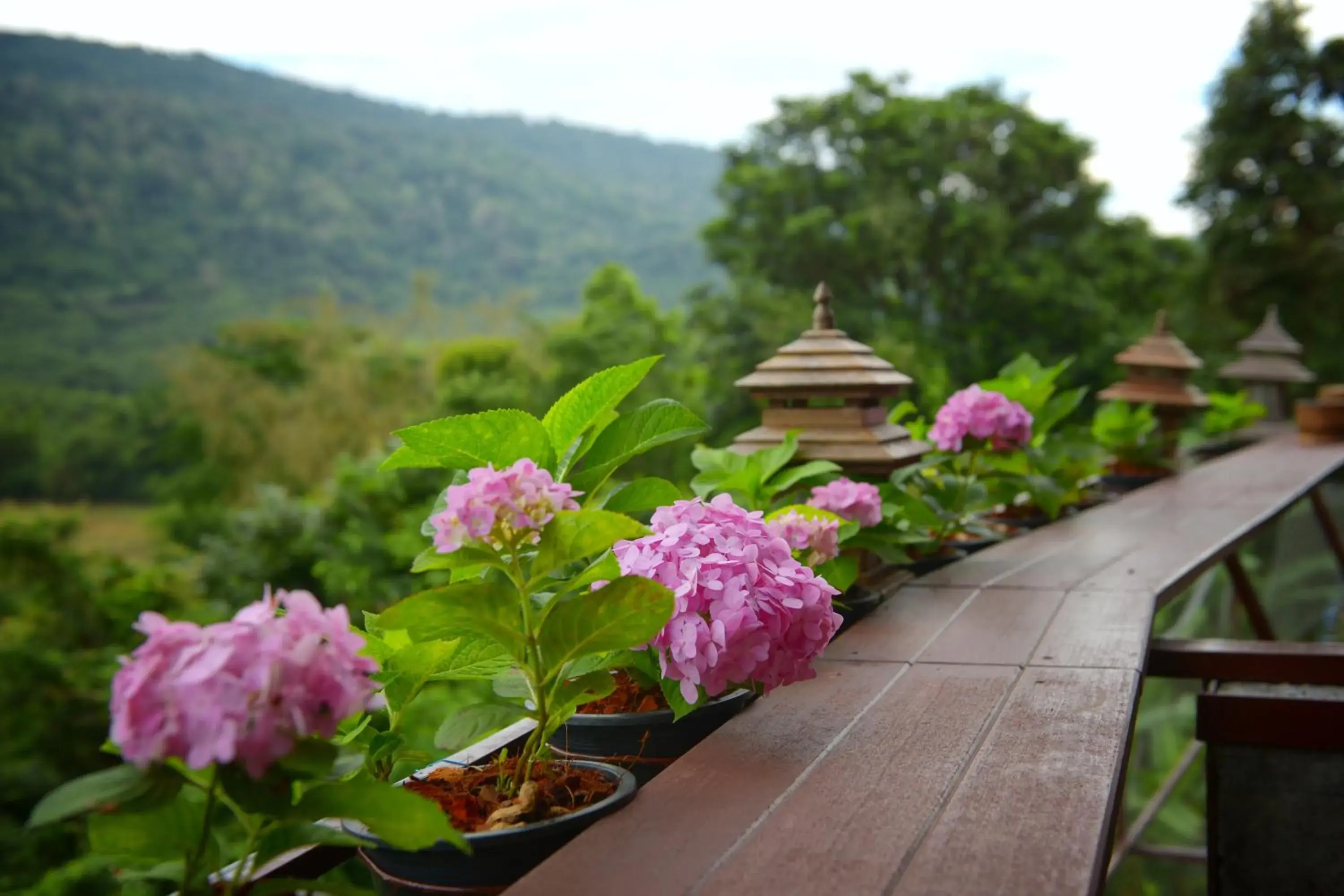 Restaurant/places to eat in Phurua Bussaba Resort & Spa Restaurant/places to eat in Phurua Bussaba Resort & Spa