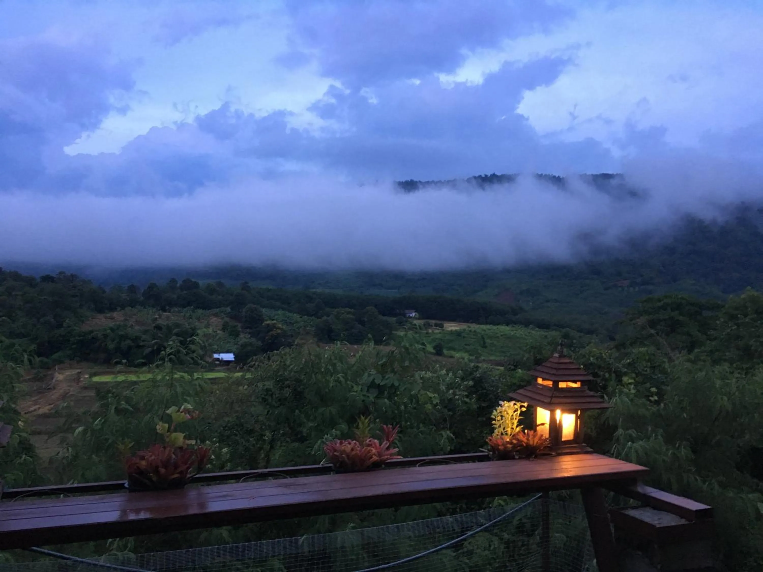 Restaurant/places to eat in Phurua Bussaba Resort & Spa