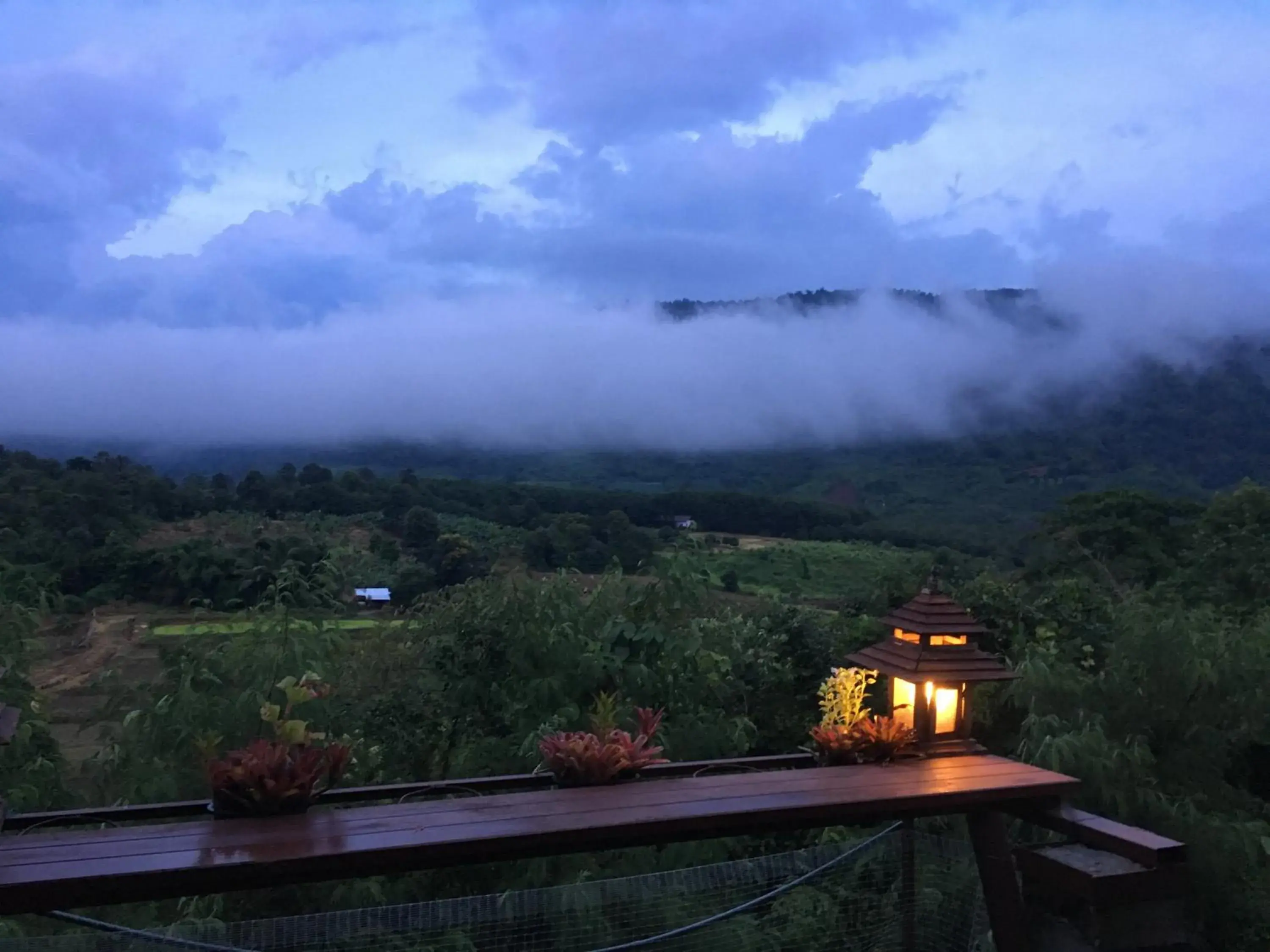 Restaurant/places to eat in Phurua Bussaba Resort & Spa Restaurant/places to eat in Phurua Bussaba Resort & Spa