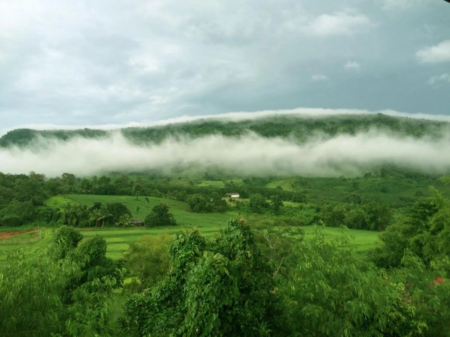 Property building in Phurua Bussaba Resort & Spa