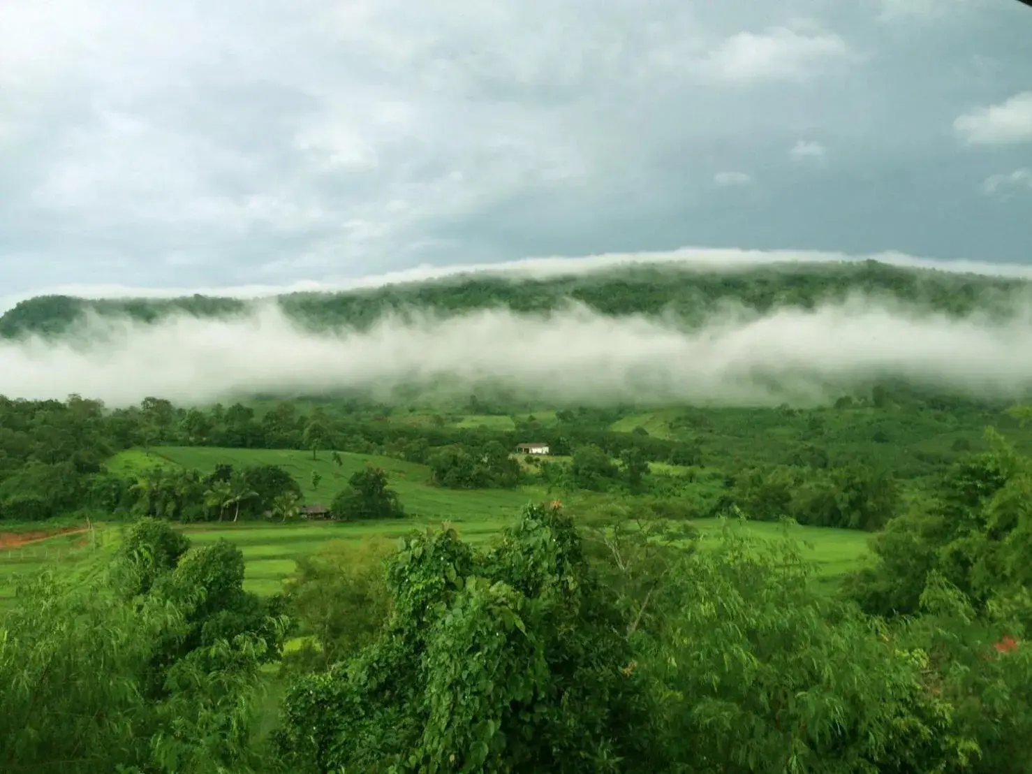 Property building in Phurua Bussaba Resort & Spa Property building in Phurua Bussaba Resort & Spa