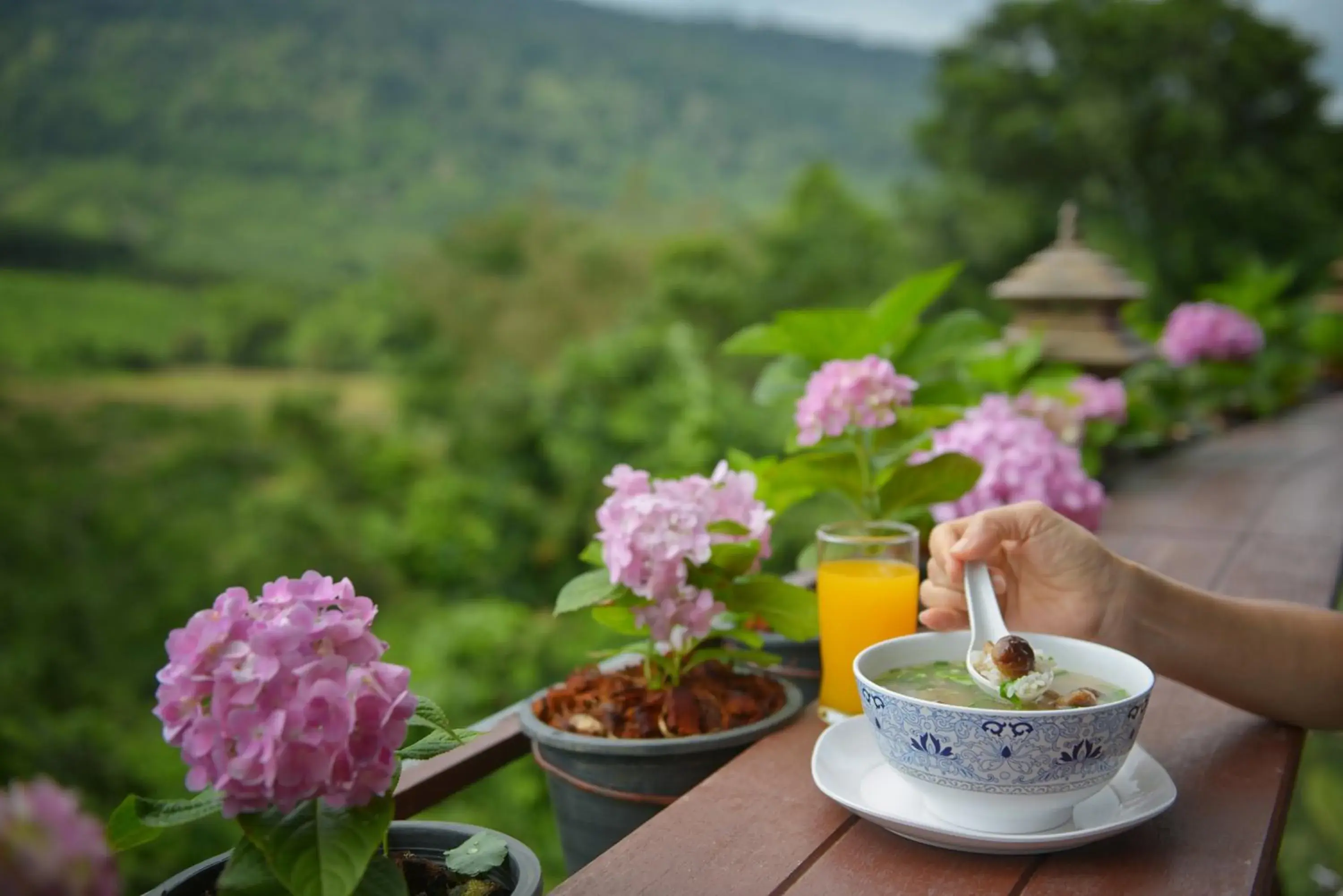Breakfast in Phurua Bussaba Resort & Spa Breakfast in Phurua Bussaba Resort & Spa