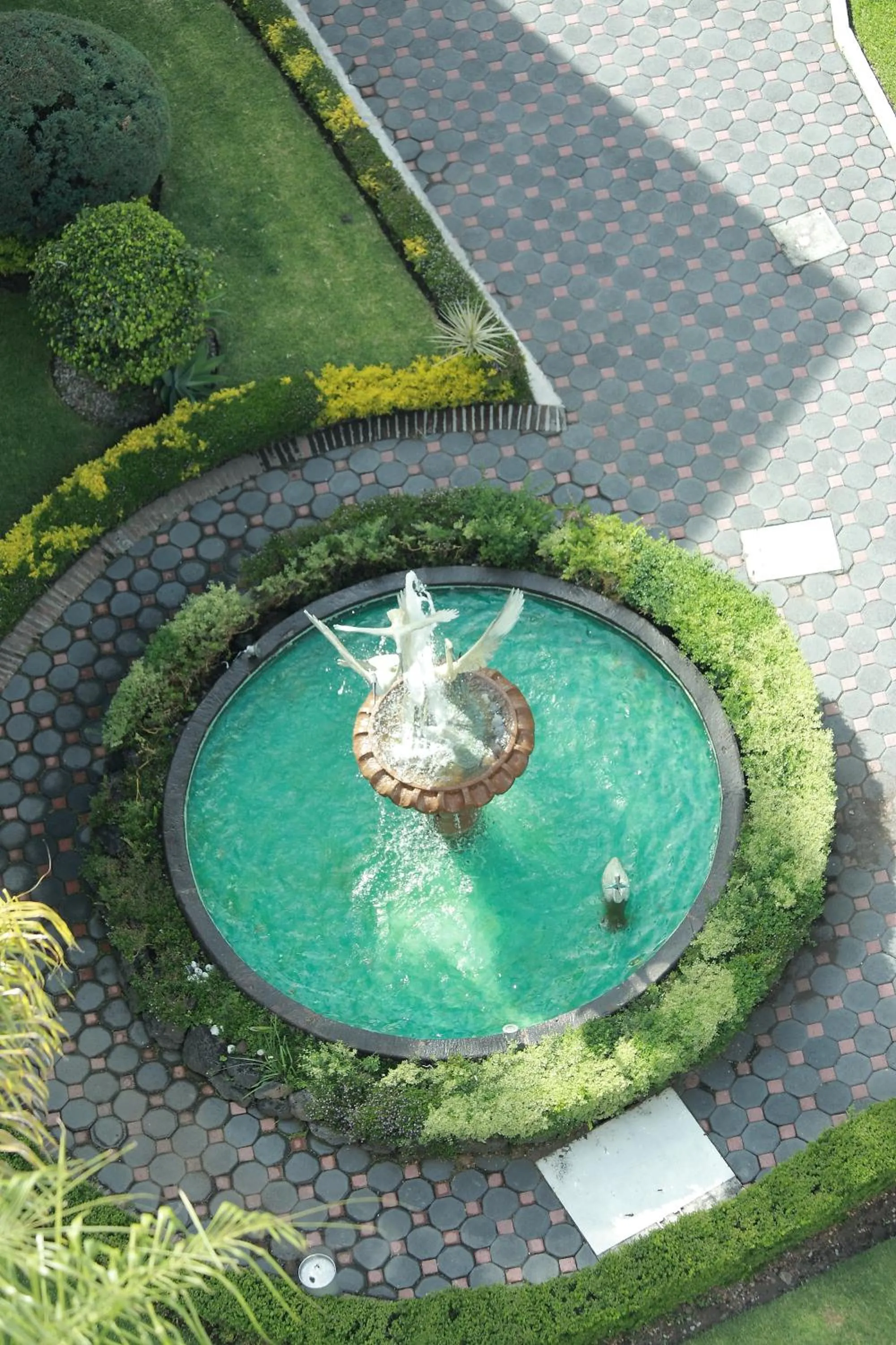 Bird's eye view in Villa Bejar Cuernavaca