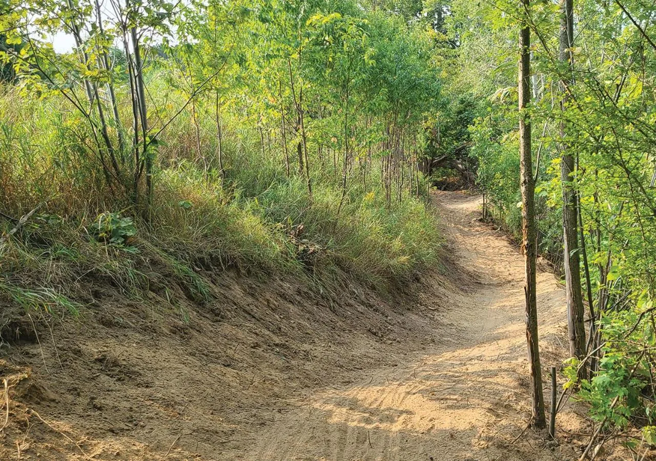 Natural landscape in Hockley Valley Resort