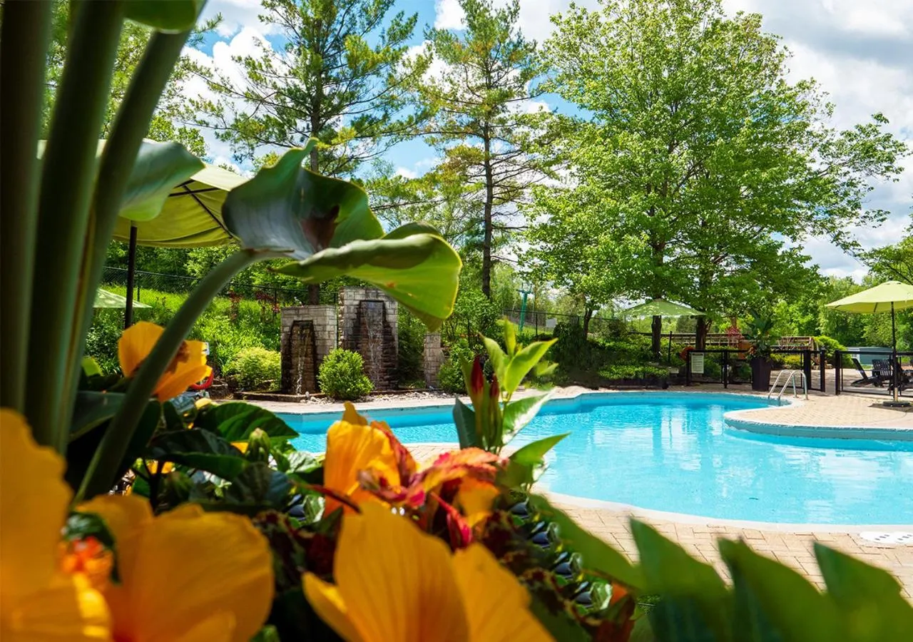 Swimming pool in Hockley Valley Resort
