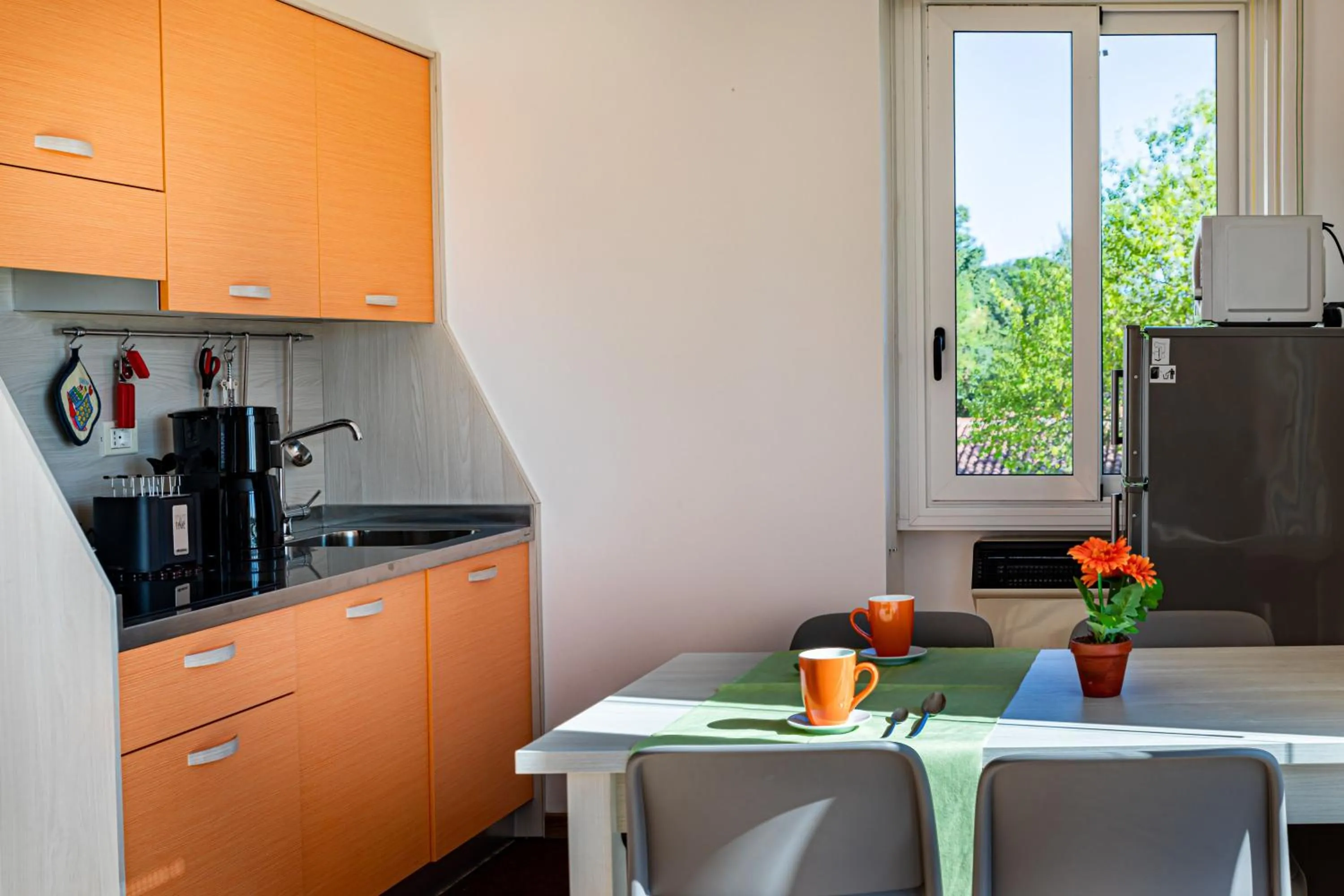 Kitchen or kitchenette in Camping Zocco