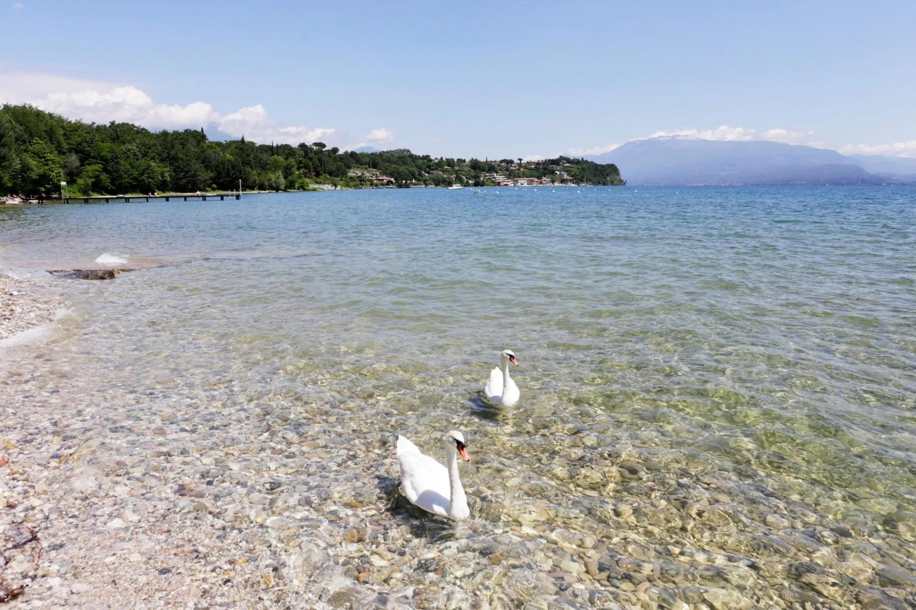 Beach in Camping Zocco