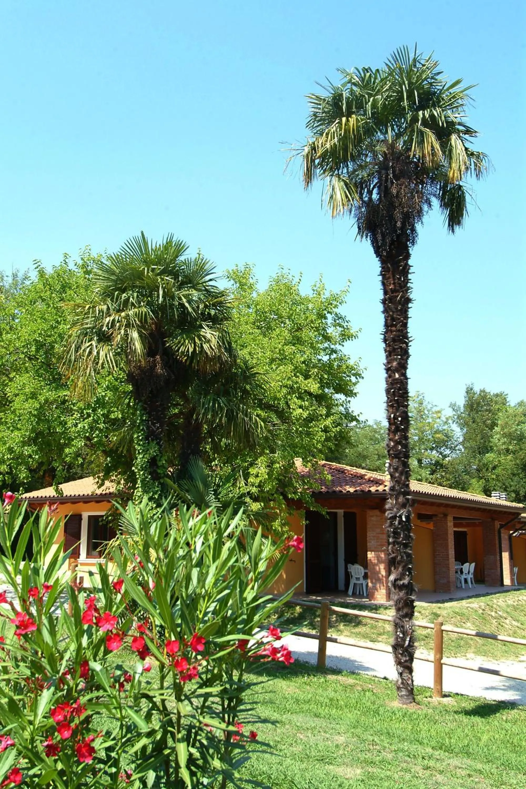 Facade/entrance in Camping Zocco