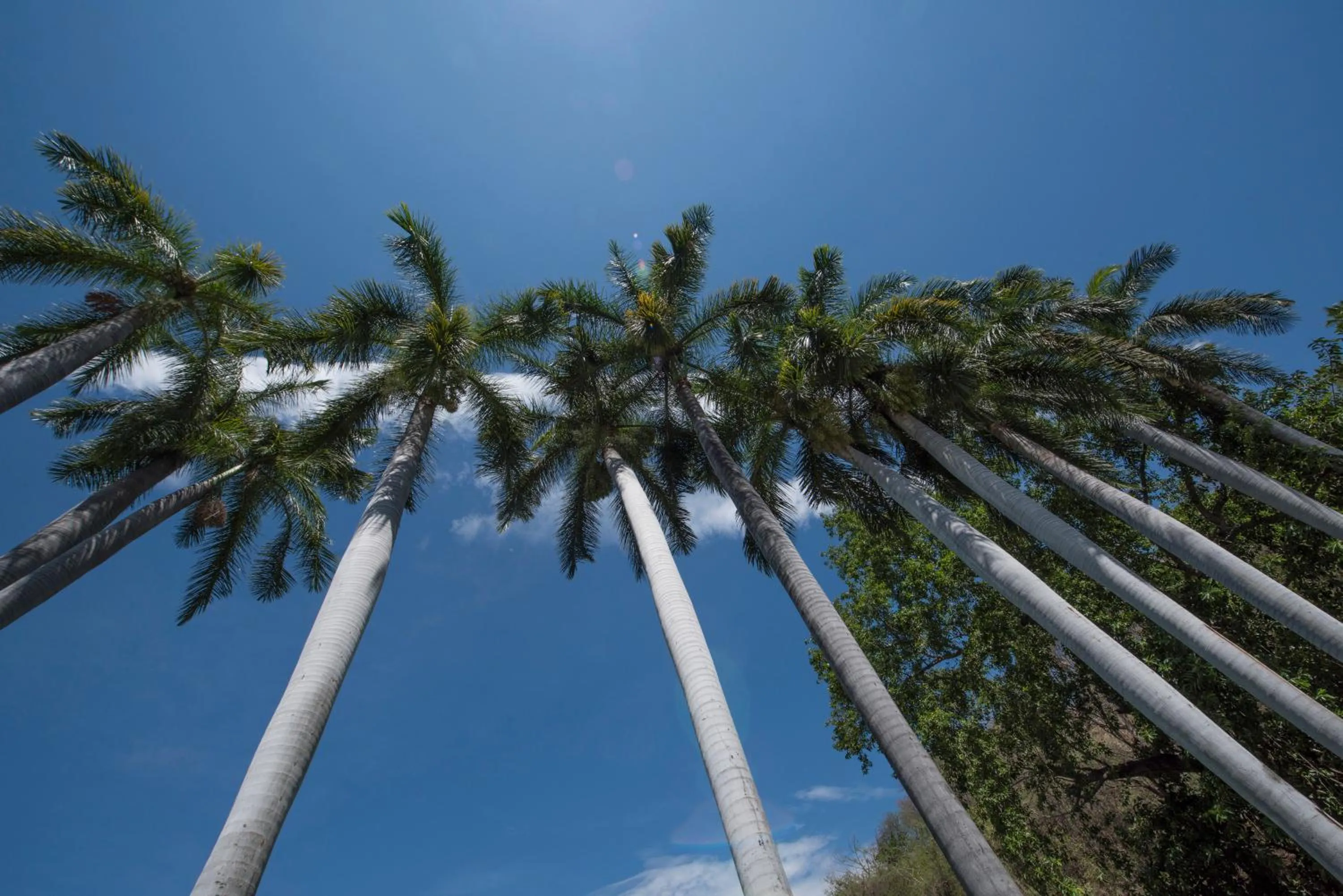 Natural landscape in Villa Bejar Tequesquitengo
