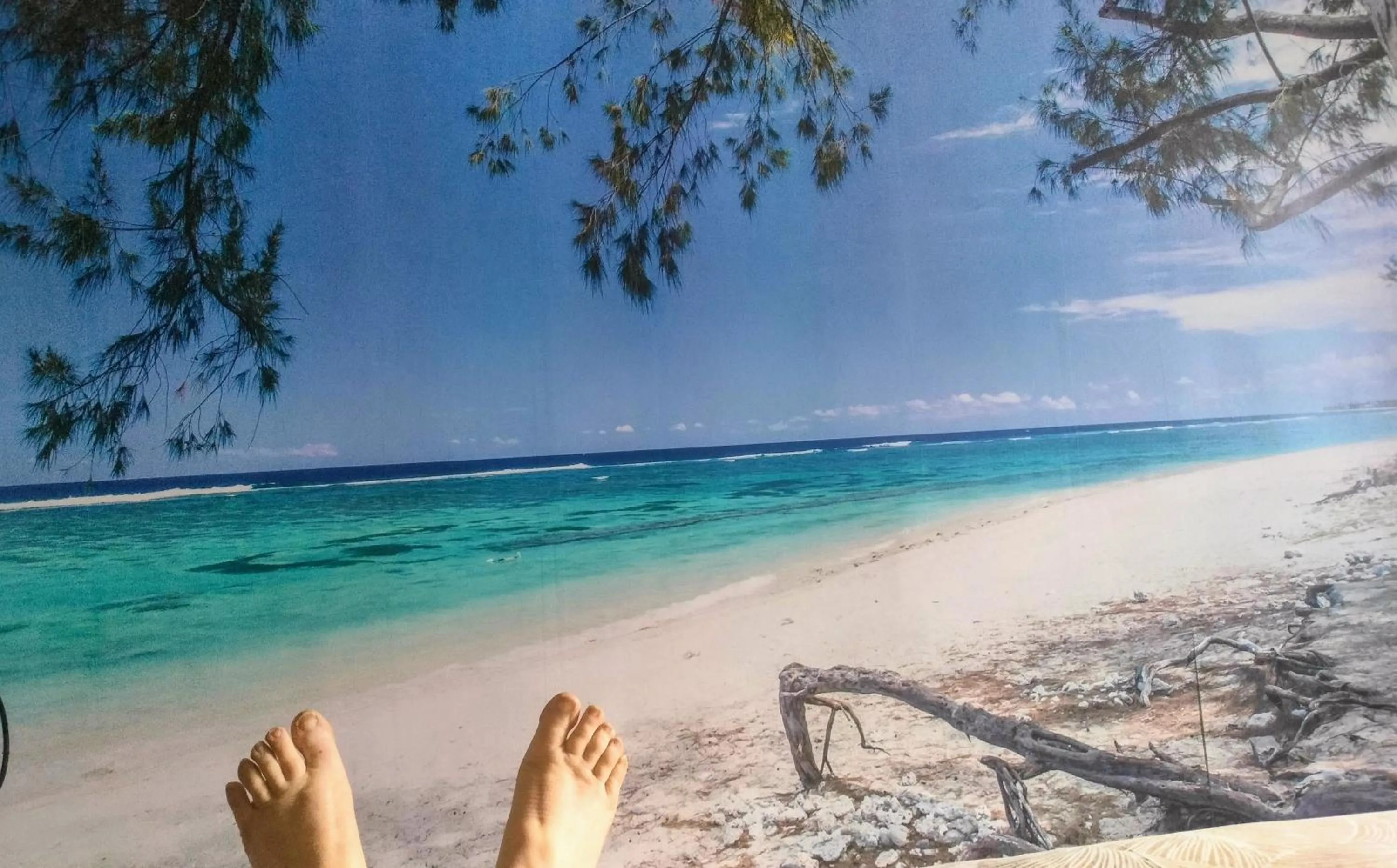 Chez Aurélia - Chambres & Table d'hôtes