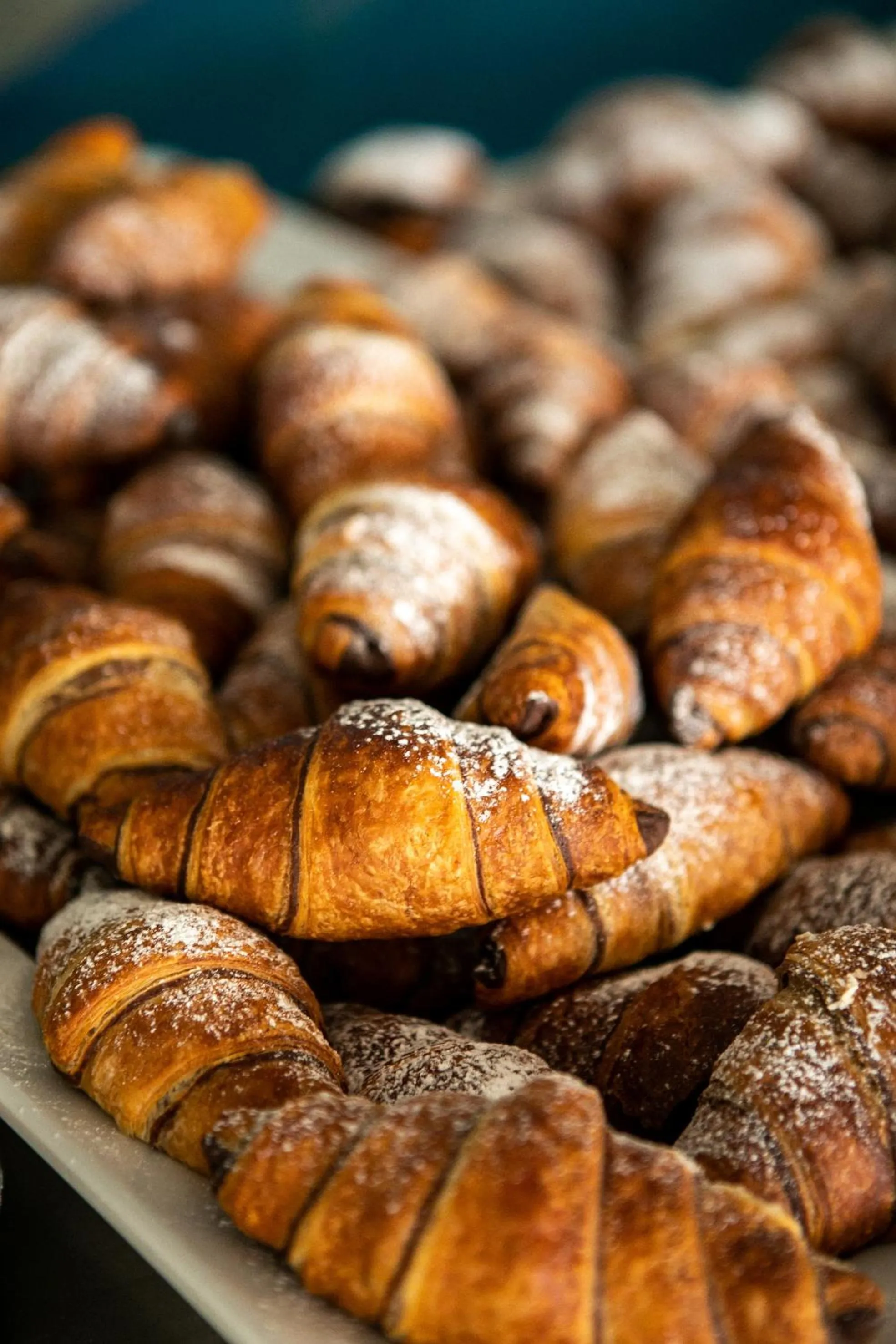Breakfast in Bikini Tropicana Family Hotel