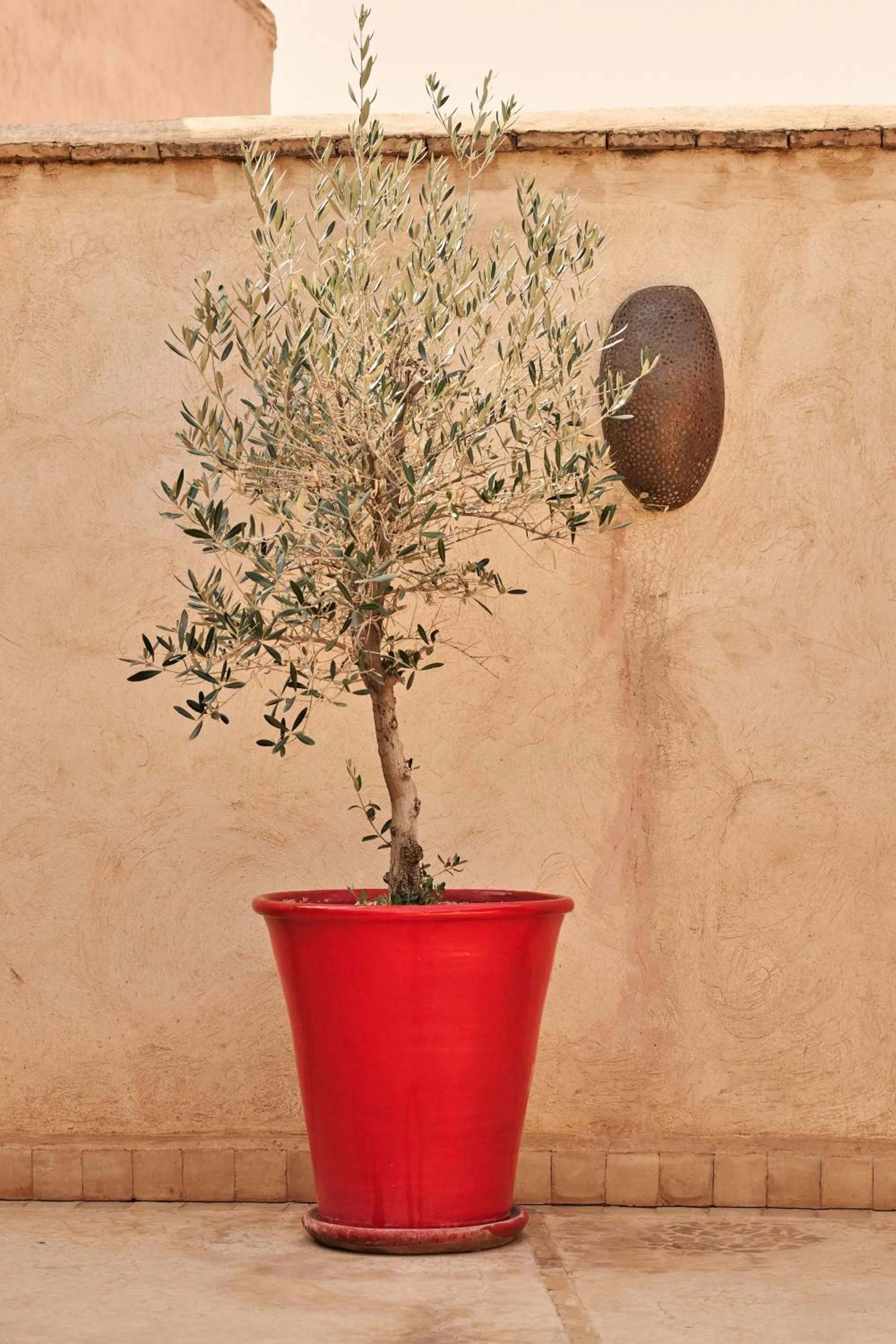 Decorative detail in Riad Charaï