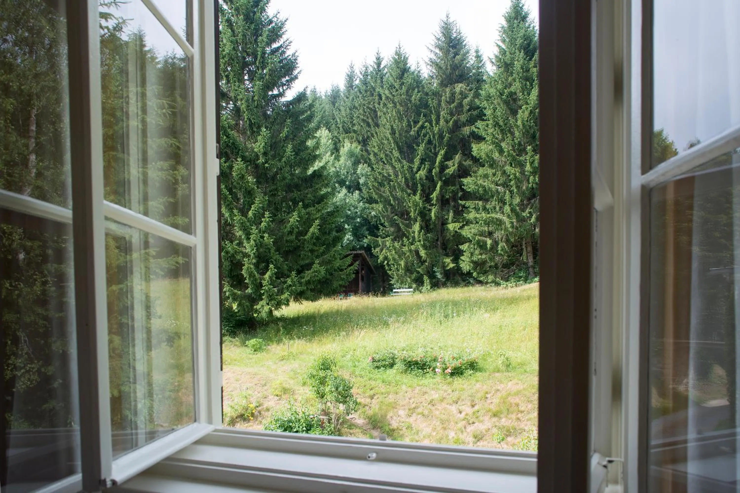 View (from property/room) in Hotel Landsitz Pichlschloss