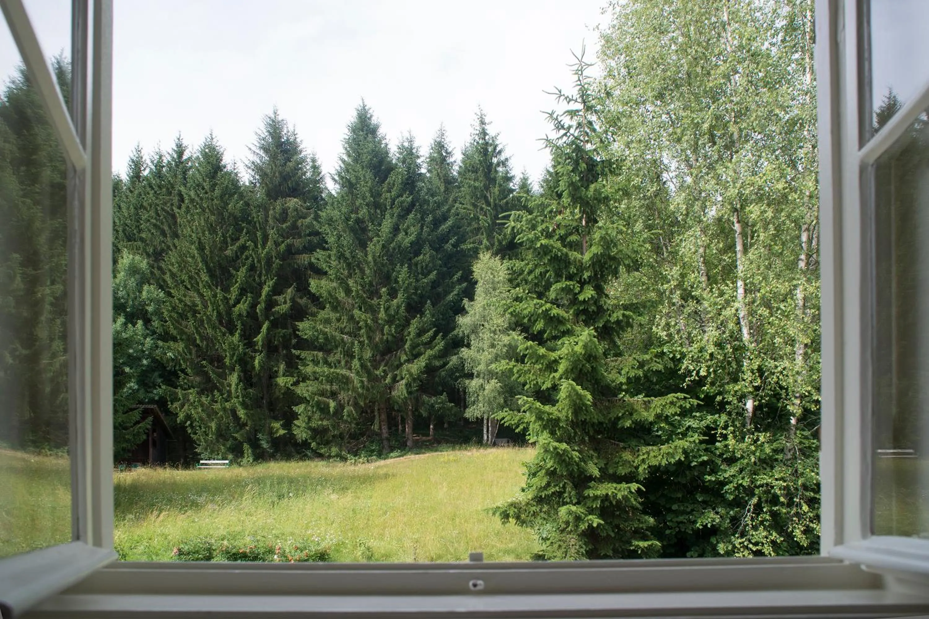 View (from property/room) in Hotel Landsitz Pichlschloss