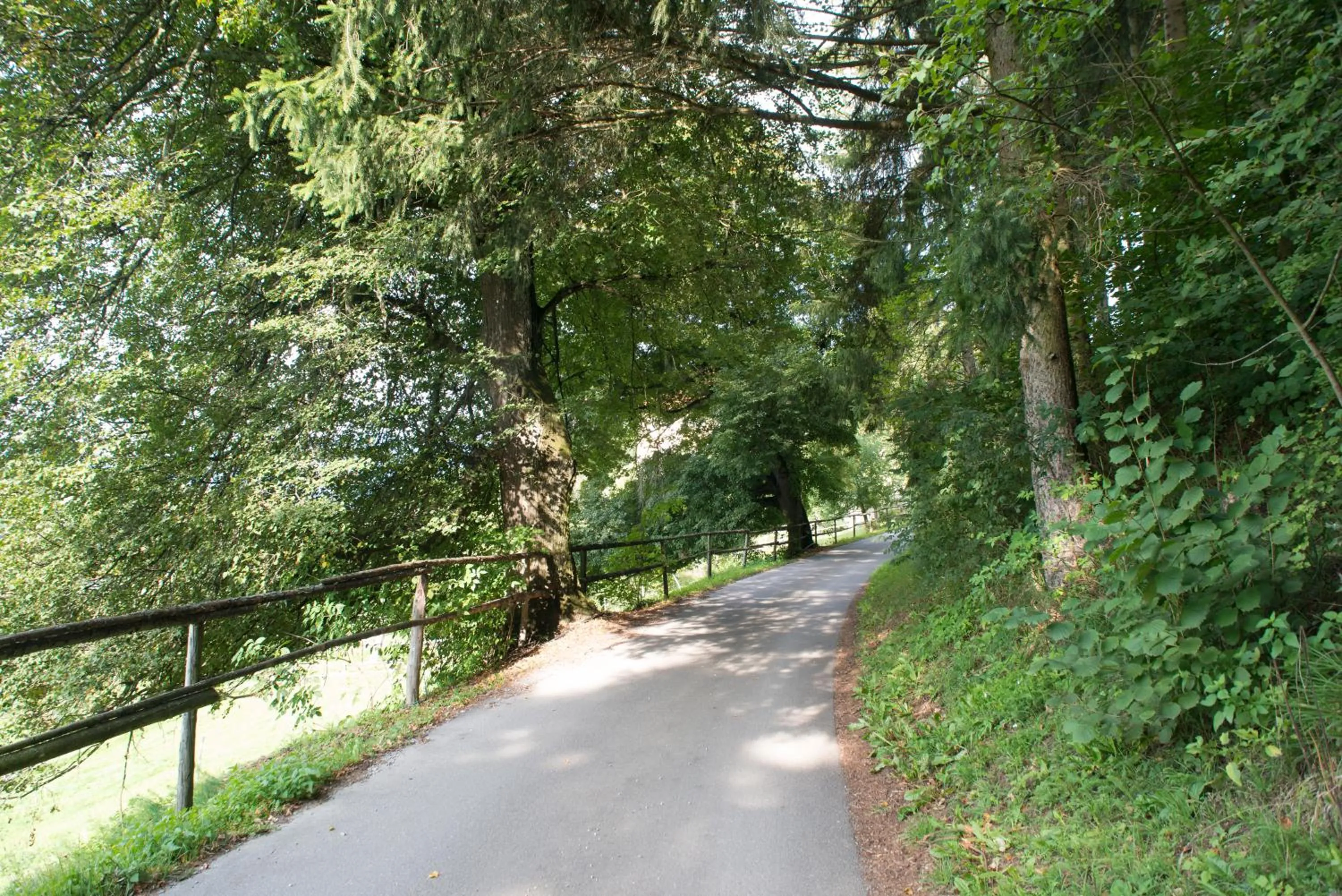 Natural landscape in Hotel Landsitz Pichlschloss