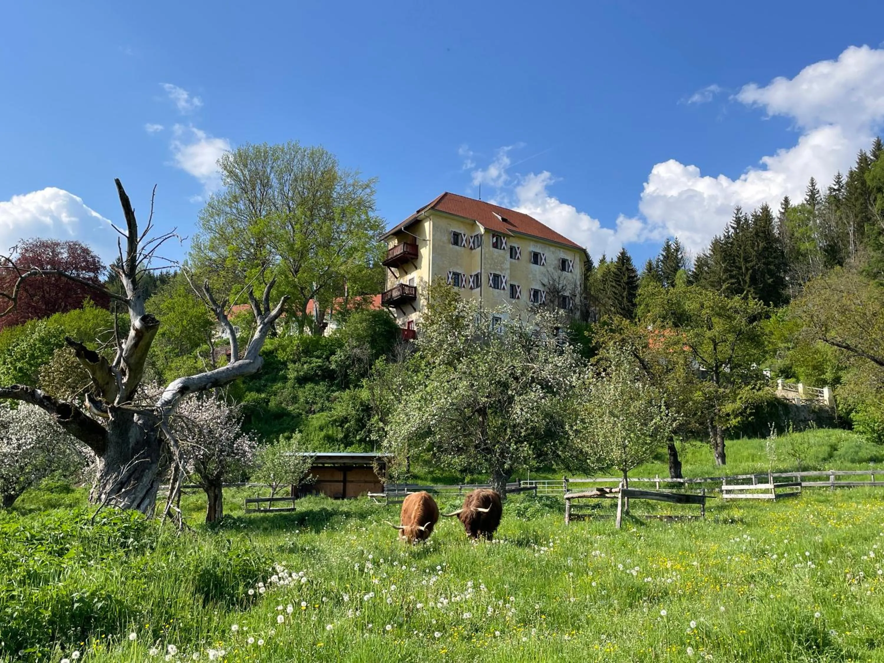 Property building in Hotel Landsitz Pichlschloss