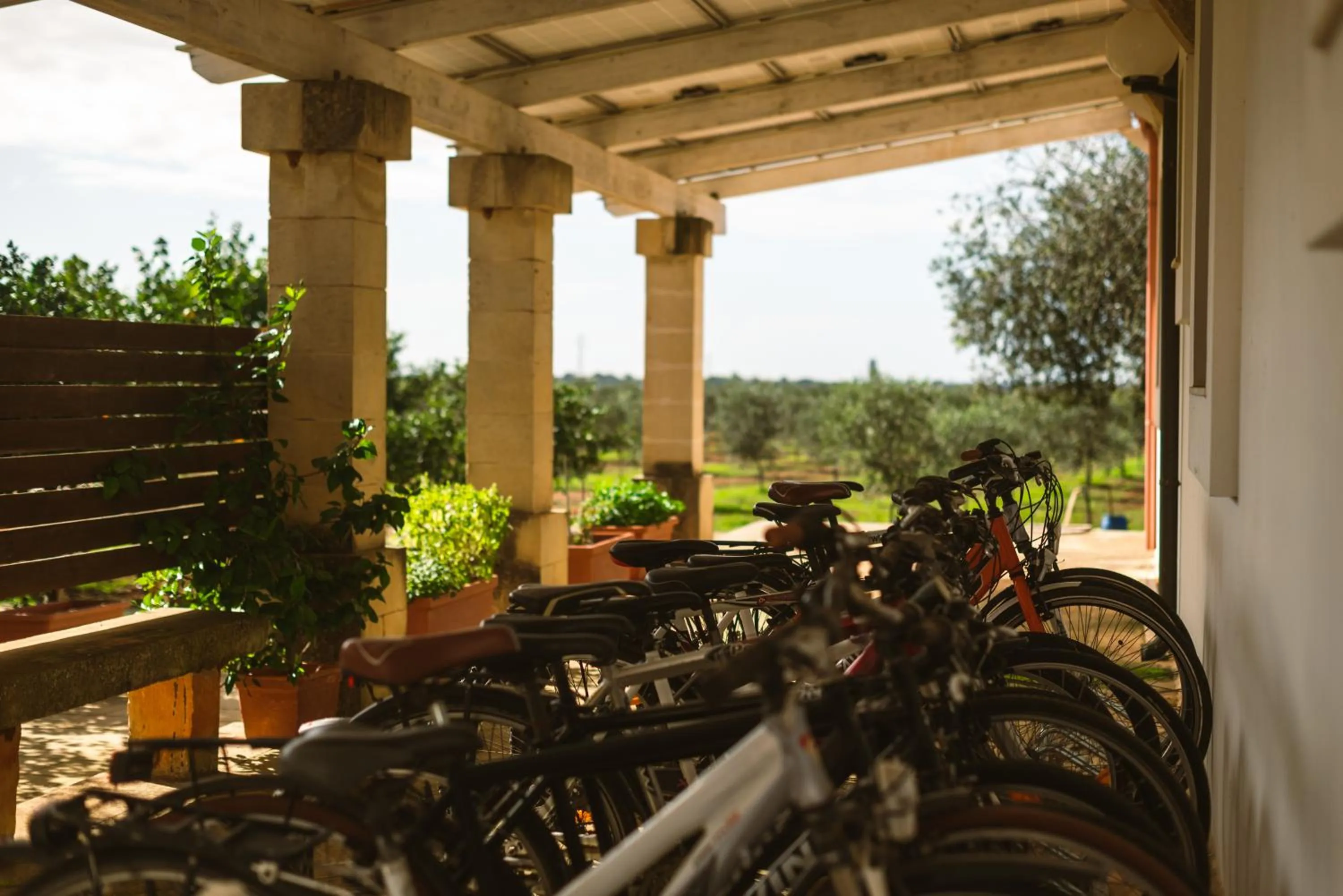 Tenuta Masseria & Spa Chicco Rizzo